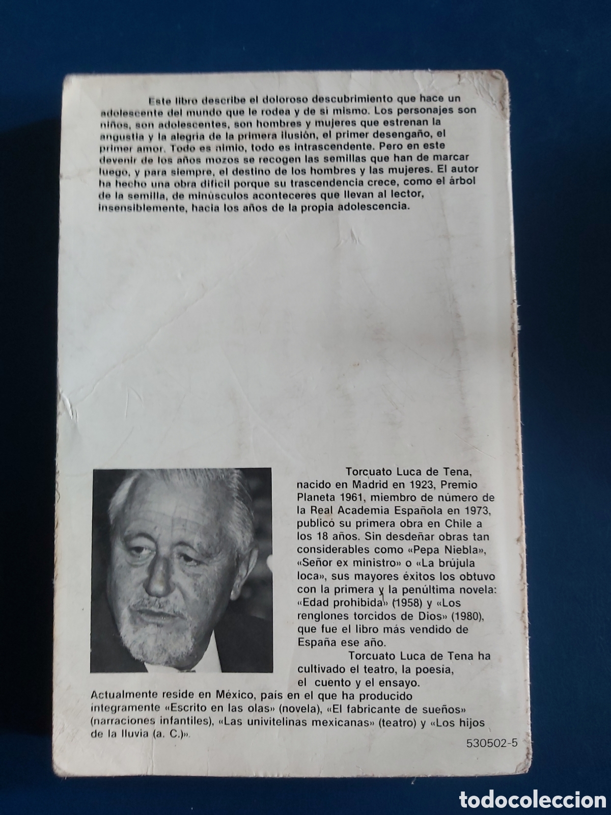 Libros de segunda mano: EDAD PROHIBIDA # TORCUATO LUCA DE TENA# PLANETA 1985 - Foto 3