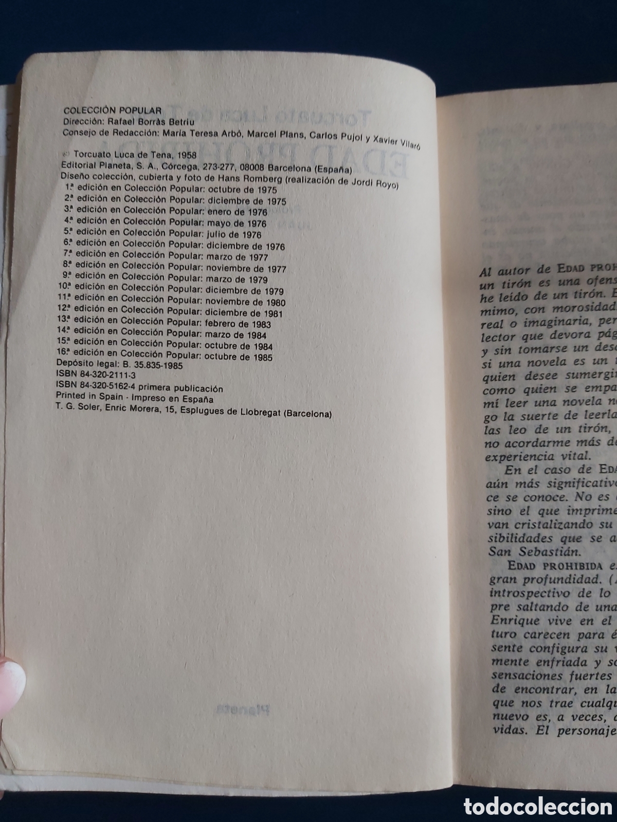 Libros de segunda mano: EDAD PROHIBIDA # TORCUATO LUCA DE TENA# PLANETA 1985 - Foto 4
