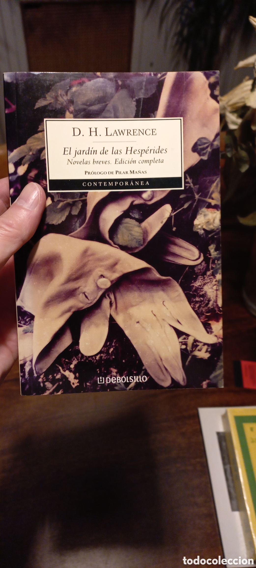 Libros de segunda mano: El jard&iacute;n de las Hesp&eacute;rides, DH Lawrence - Foto 1