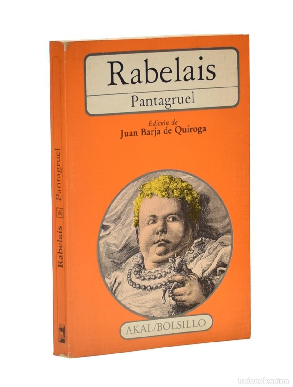 Libros de segunda mano: PANTAGRUEL - RABELAIS, Fran&ccedil;ois - Foto 1