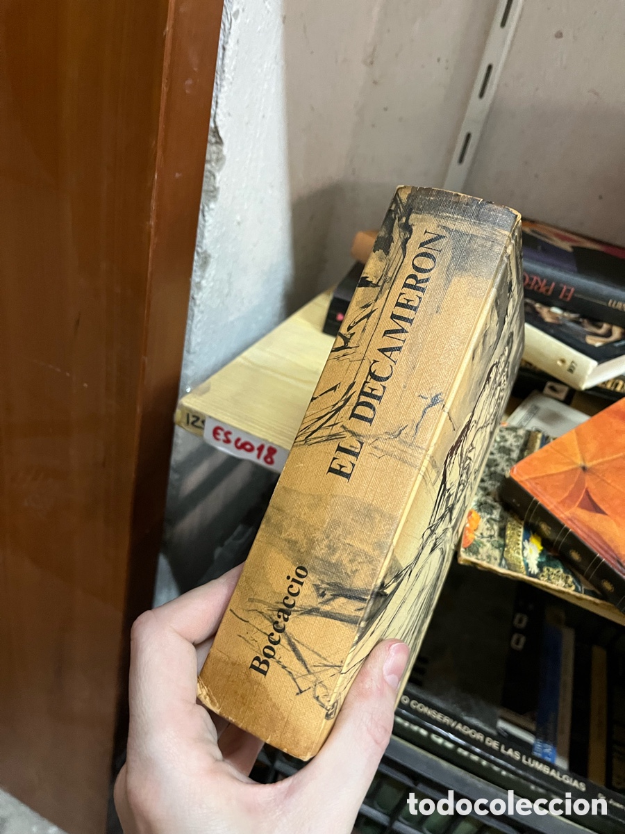 Libros de segunda mano: Esco18 el decameron - boccaccio - Foto 1
