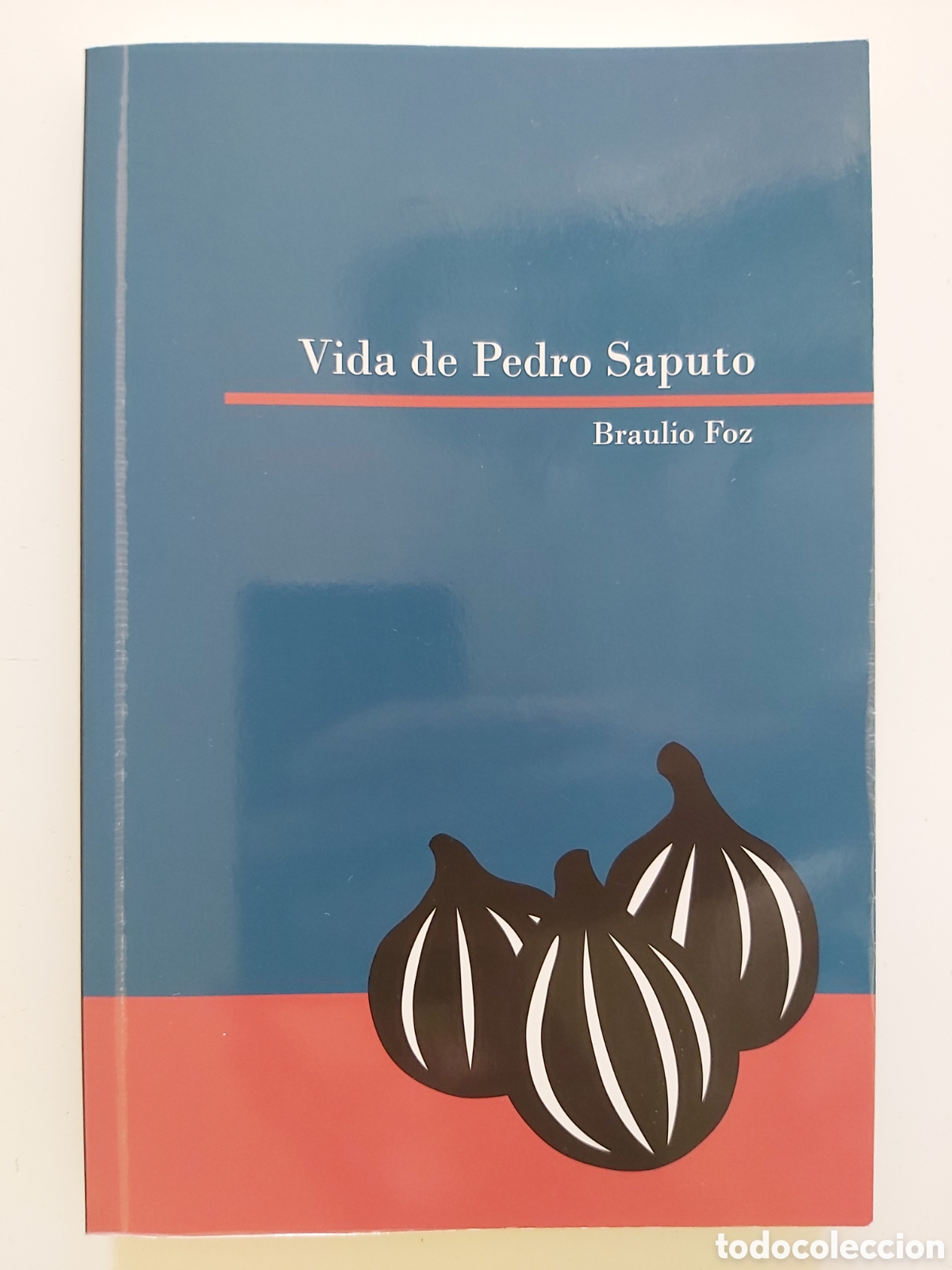 Libros de segunda mano: Libro Vida de Pedro Saputo. Autor Braulio Foz - Foto 1