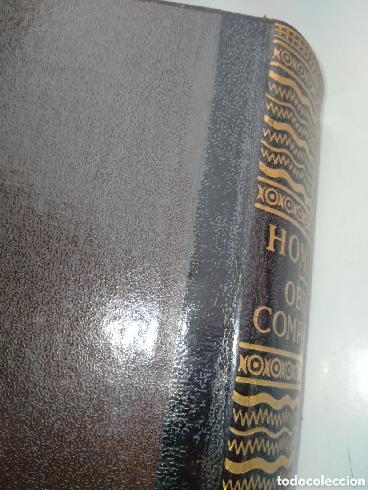 Libros de segunda mano: HOMERO. OBRAS COMPLETAS .MONTANER Y SIMON - Foto 21