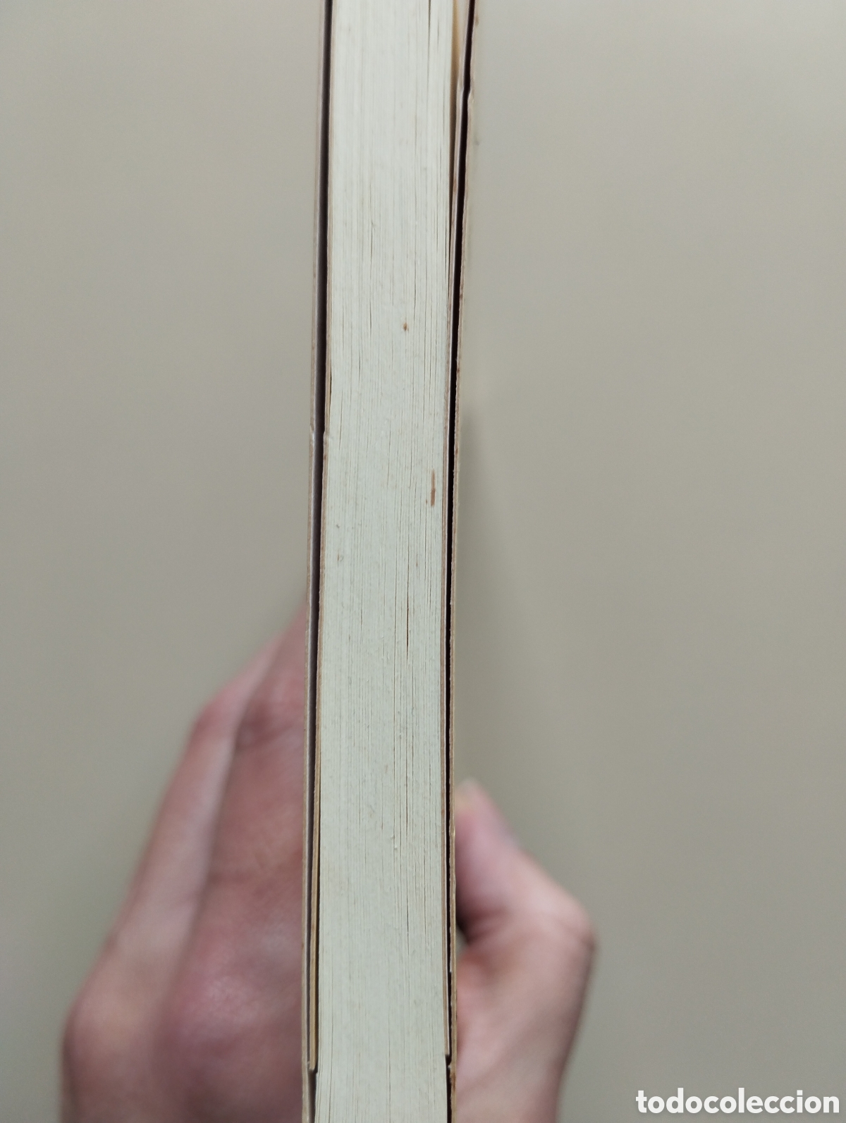 Libros de segunda mano: KNUT HAMSUN PAN ANAGRAMA 2006 - Foto 2