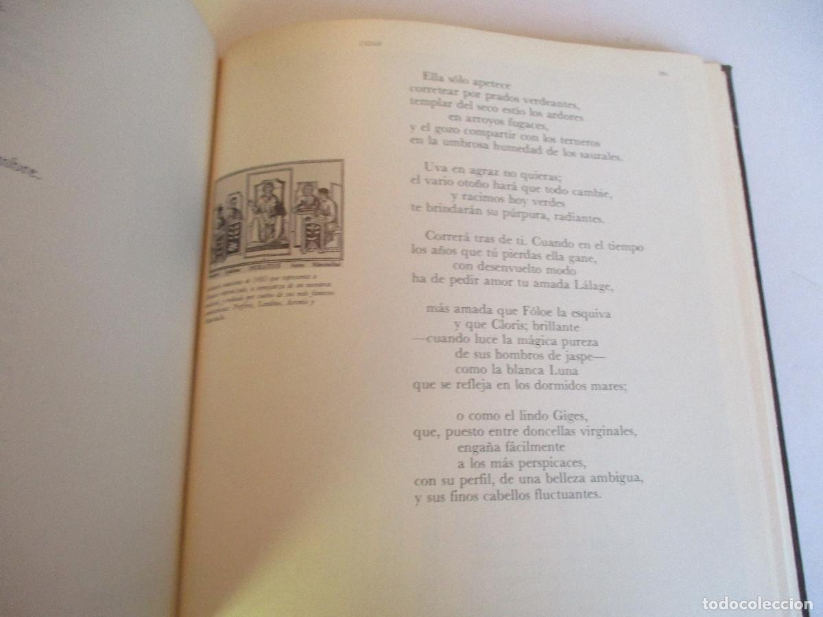 Libros de segunda mano: VIRGILIO , HORACIO Odas, Canto secular, Libro de los Epodos W26654 - Foto 3