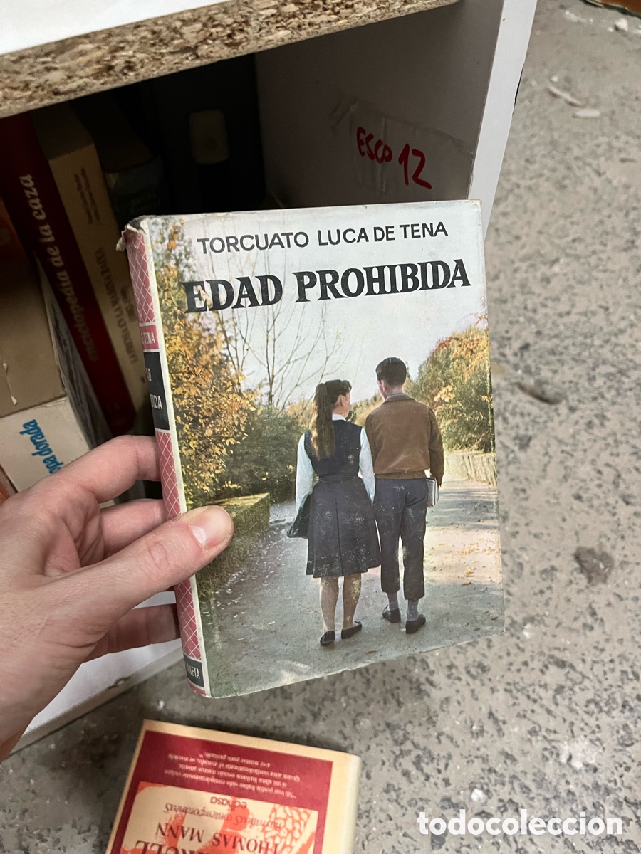 Libros de segunda mano: Esco12 TORCUATO LUCA DE TENA EDAD PROHIBIDA - Foto 1
