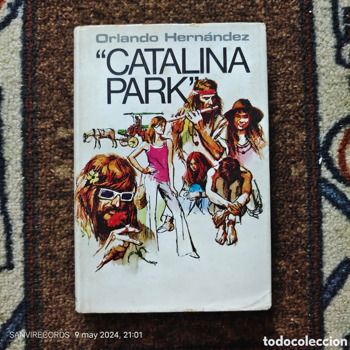 Libros de segunda mano: CATALINA PARK (ORLANDO HERN&Aacute;NDEZ) - Foto 1