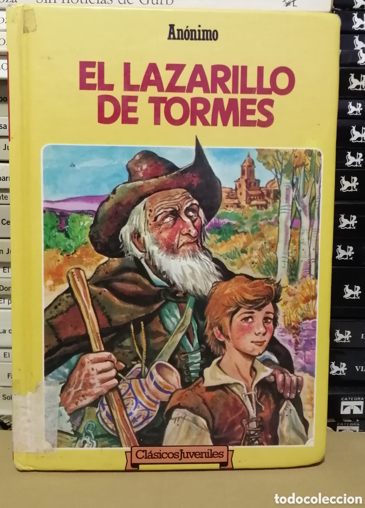 Libros de segunda mano: El Lazarillo de Tormes Grafalco 1987 Ilustrado Tapa dura