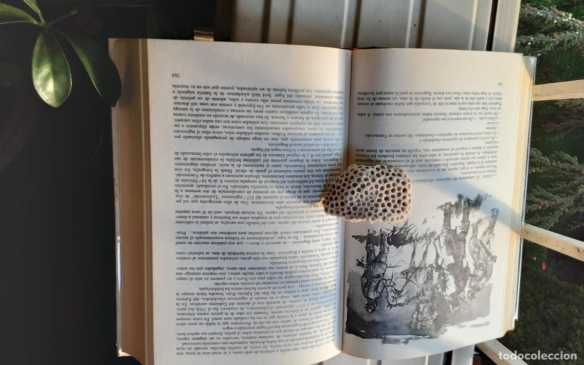 Libros de segunda mano: EL DON APACIBLE - MIJAIL CHOLOJOV - 2 Tomos - Foto 15