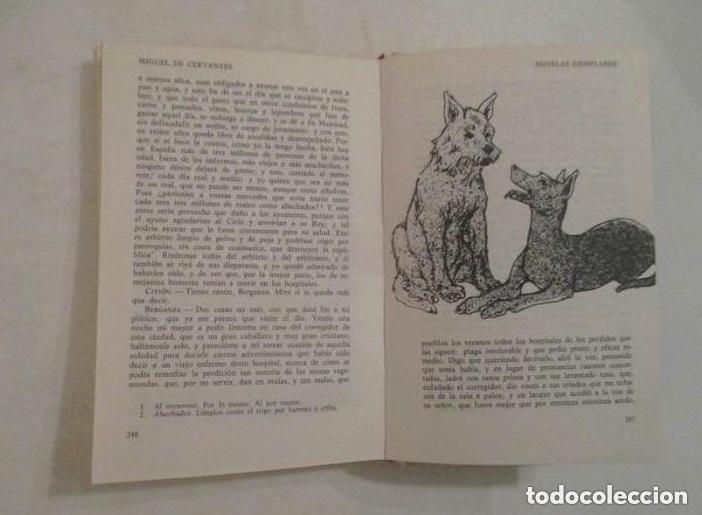 Libros de segunda mano: NOVELAS EJEMPLARES - MIGUEL DE CERVANTES - 2 TOMOS - Foto 8