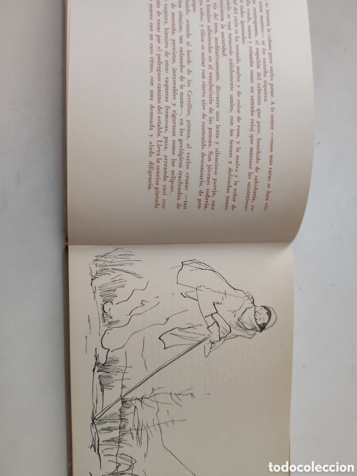 Libros de segunda mano: CUADERNO DEL GUADARRAMA .- C J CELA - Foto 4