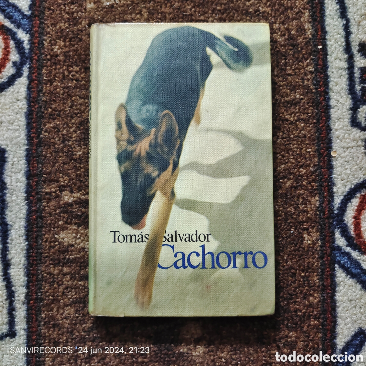 Libros de segunda mano: CACHORRO (TOM&Aacute;S SALVADOR) (C&Iacute;RCULO DE LECTORES) - Foto 1
