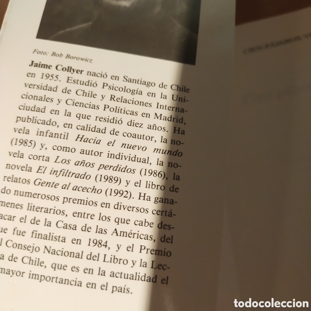 Libros de segunda mano: Cien p&aacute;jaros volando. Jaime collyer. - Foto 2
