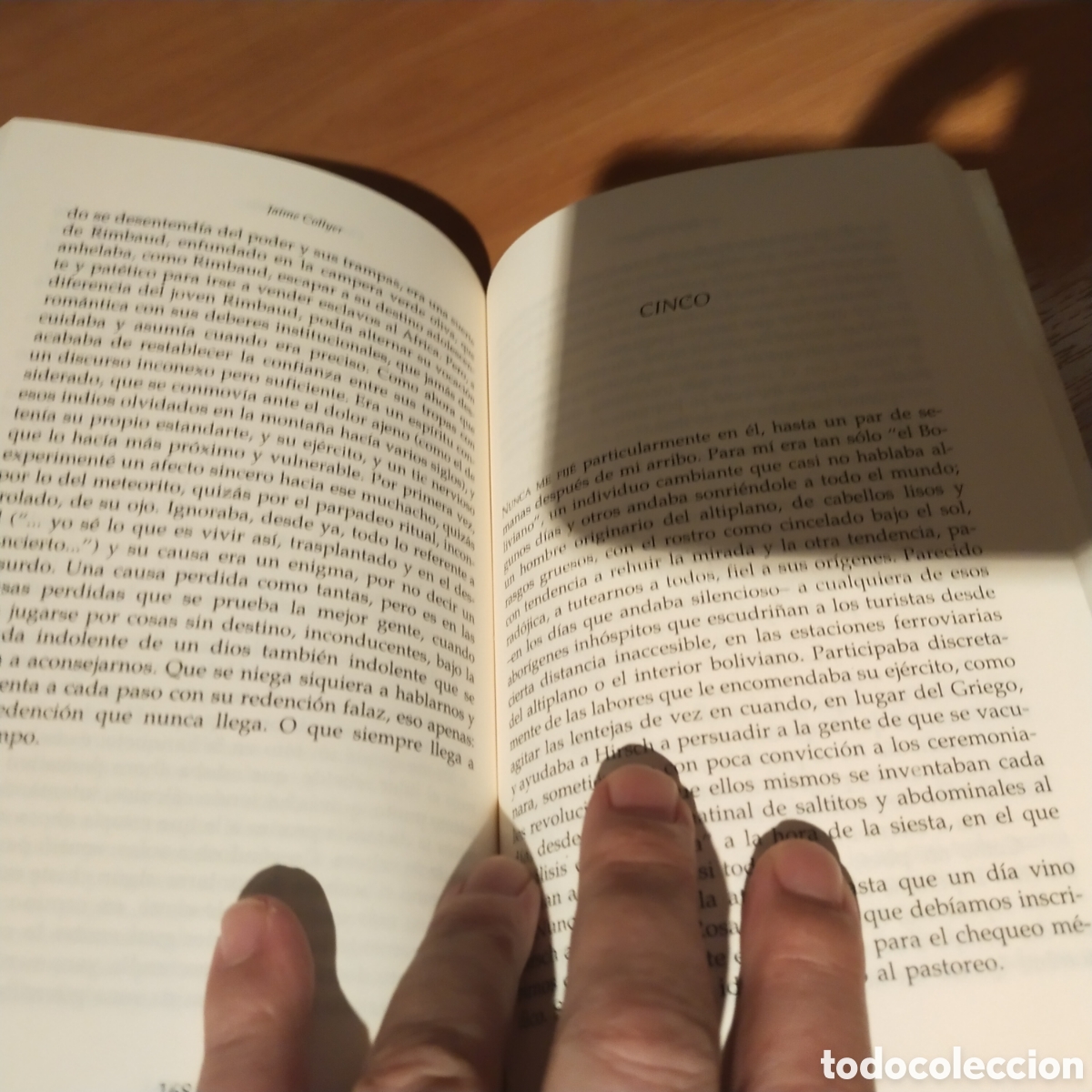 Libros de segunda mano: Cien p&aacute;jaros volando. Jaime collyer. - Foto 3