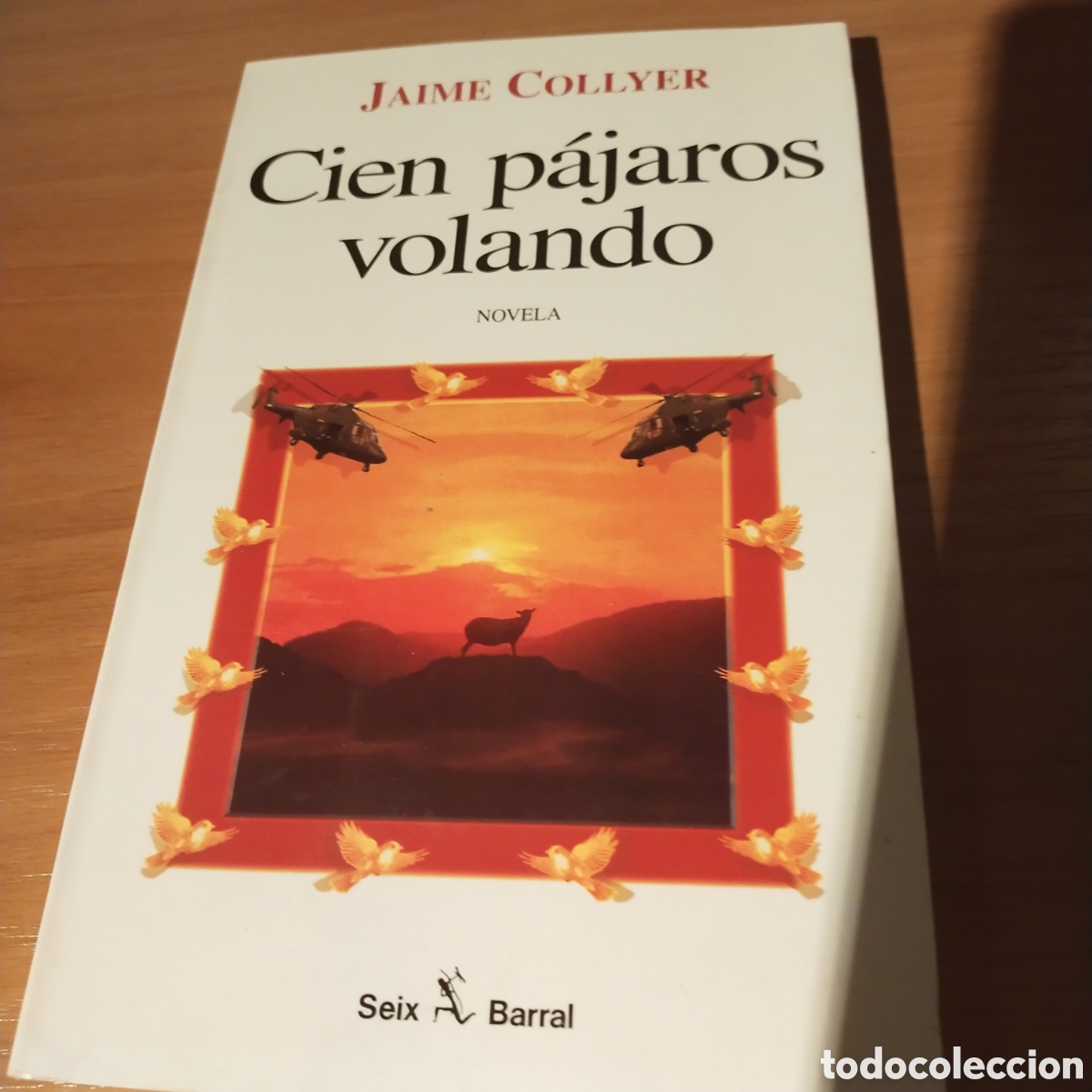 Libros de segunda mano: Cien p&aacute;jaros volando. Jaime collyer. - Foto 1
