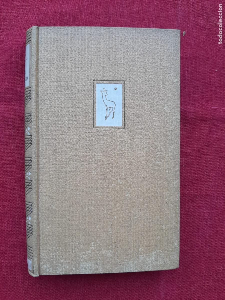 Libros de segunda mano: Villa Beatrice - Cicognani, Bruno - Foto 1