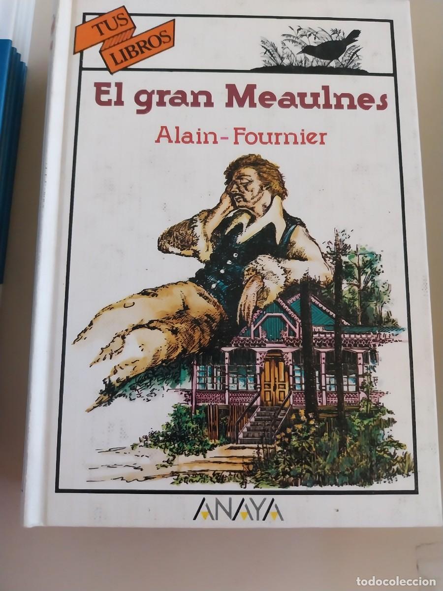 Libros de segunda mano: El Gran Meaulnes, Ed Anaya - Foto 1