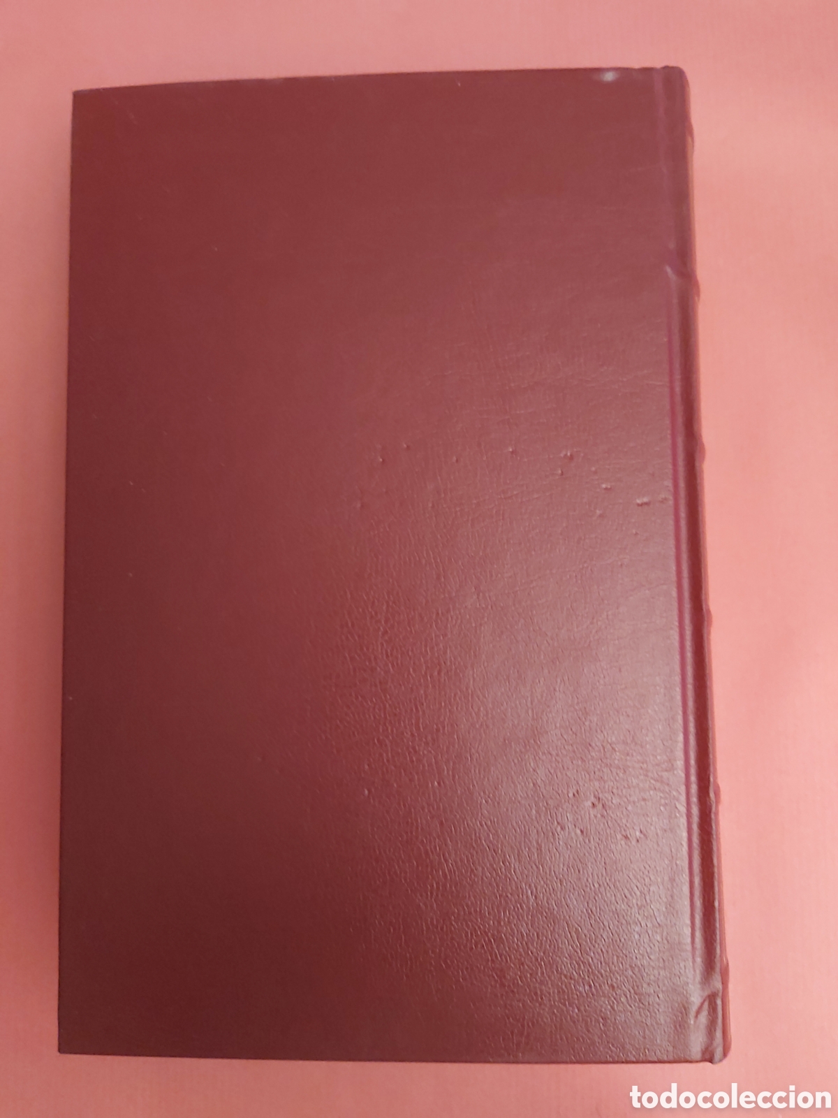 Libros de segunda mano: POEMA DE MIO CID # AN&Oacute;NIMO # BIBLIOTECA CL&Aacute;SICA CASTALIA # 2001 - Foto 6