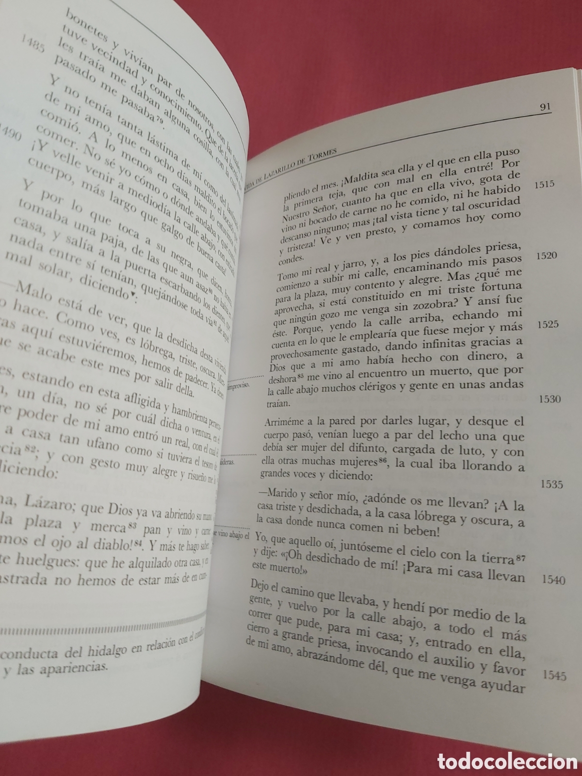 Libros de segunda mano: LAZARILLO DE TORMES # AN&Oacute;NIMO # ANAYA 1985 - Foto 8