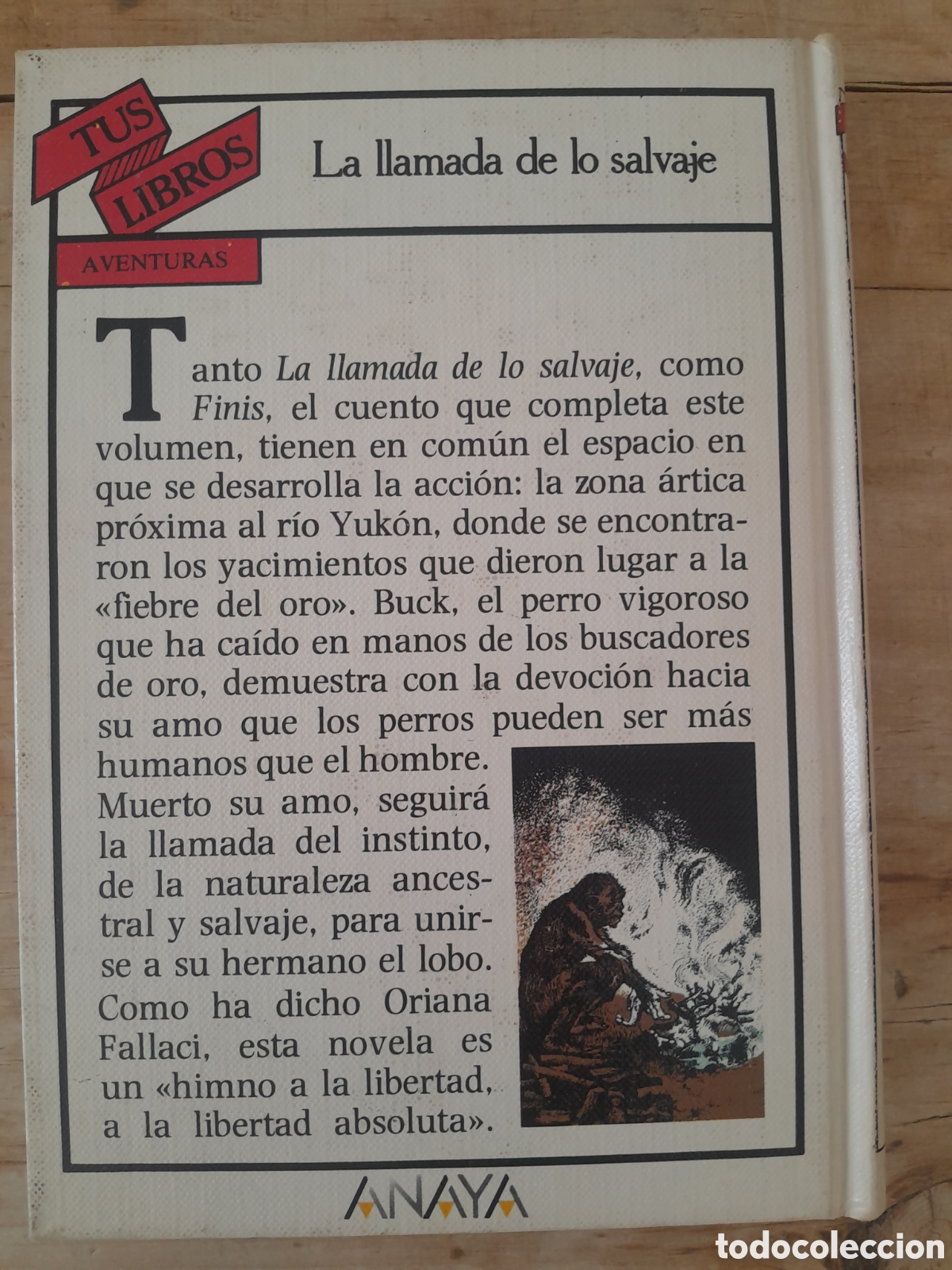 Libros de segunda mano: La llamada de lo salvaje - Foto 3