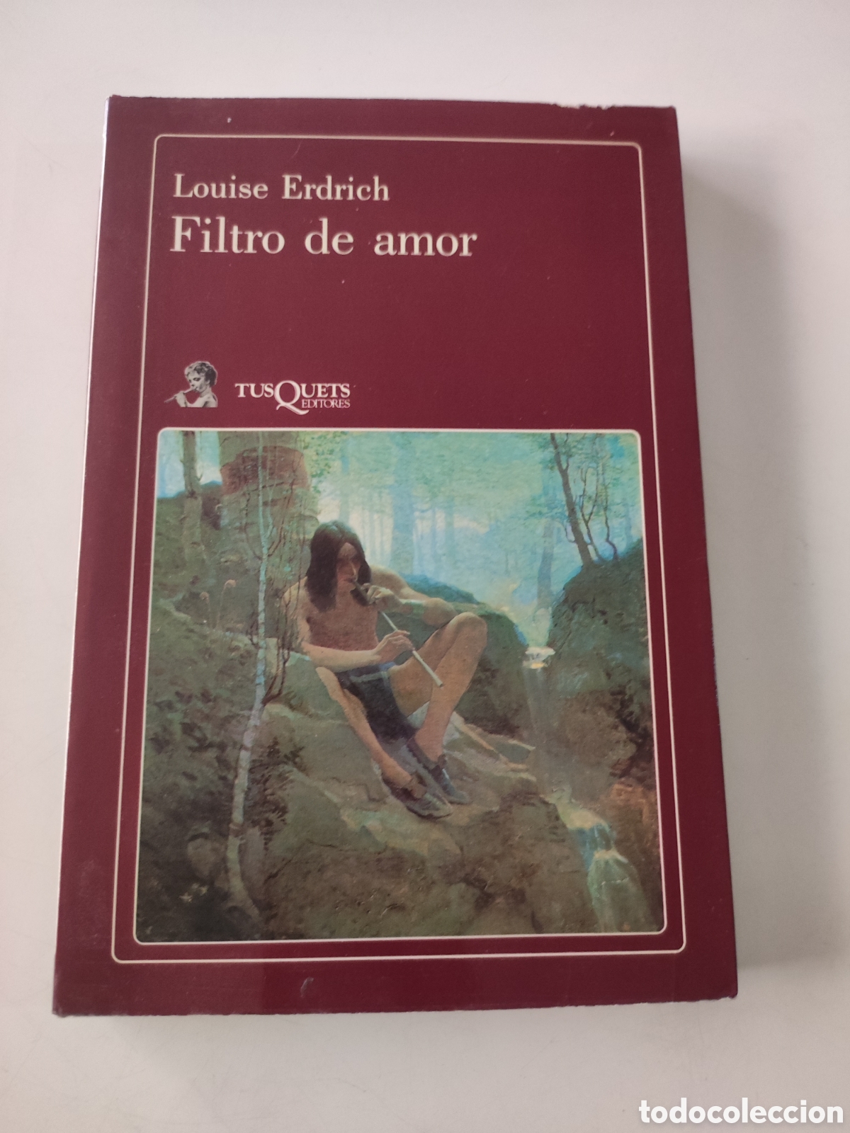 Libros de segunda mano: FILTRO DE AMOR .- L Erdrich - Foto 1