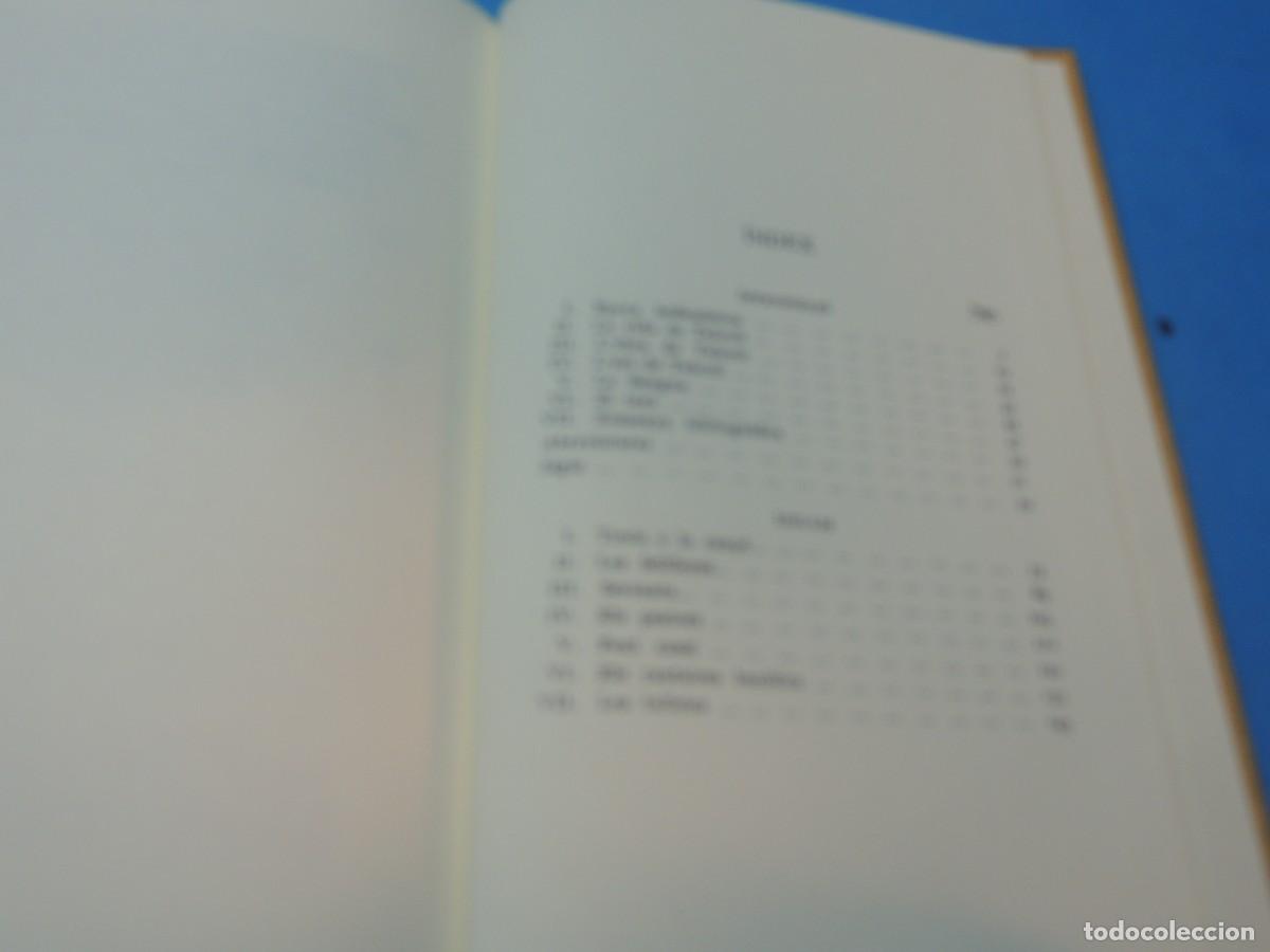 Libros de segunda mano: TE&Ograve;CRIT.- IDIL&middot;LIS. VOLUM I - Foto 9