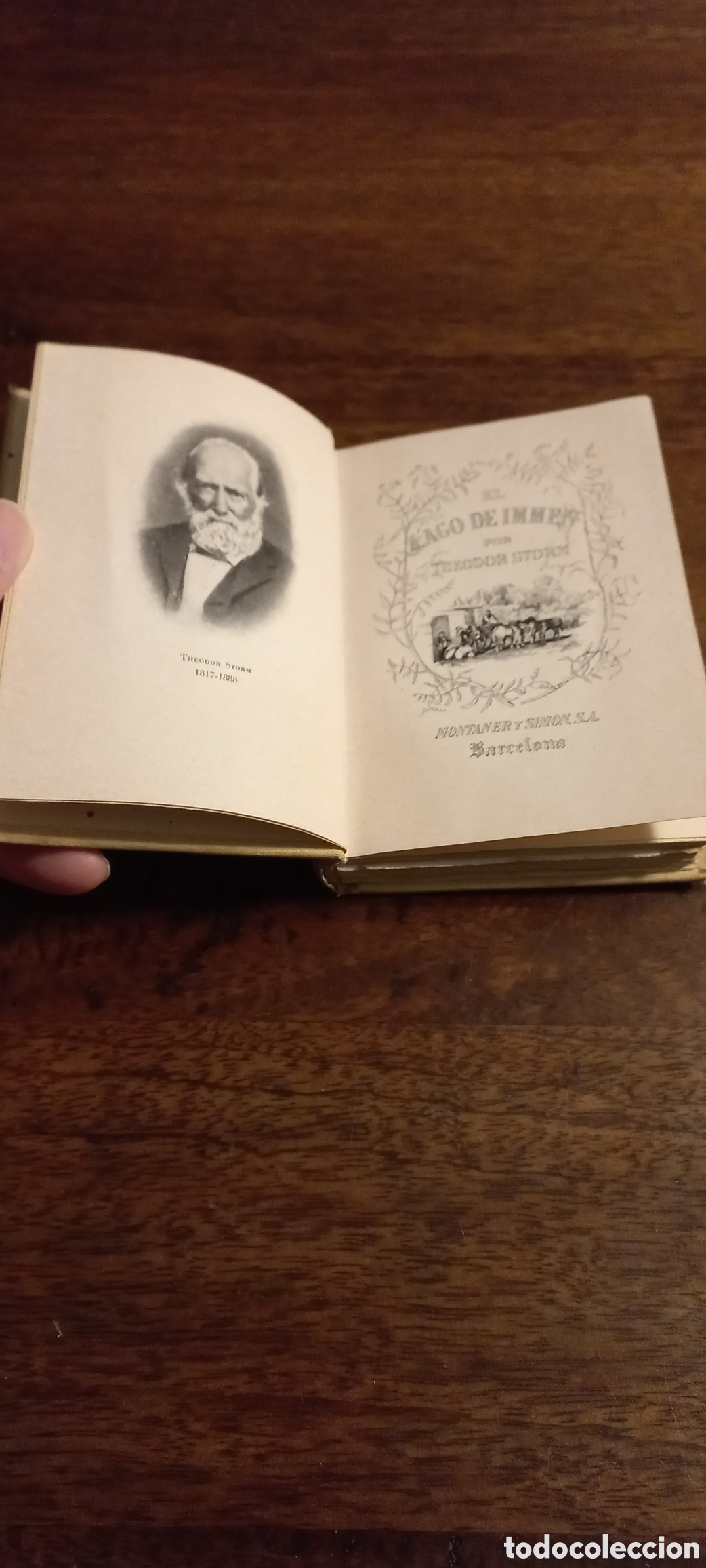 Libros de segunda mano: EL LAGO DE IMMEN, THEODOR STORM - Foto 1