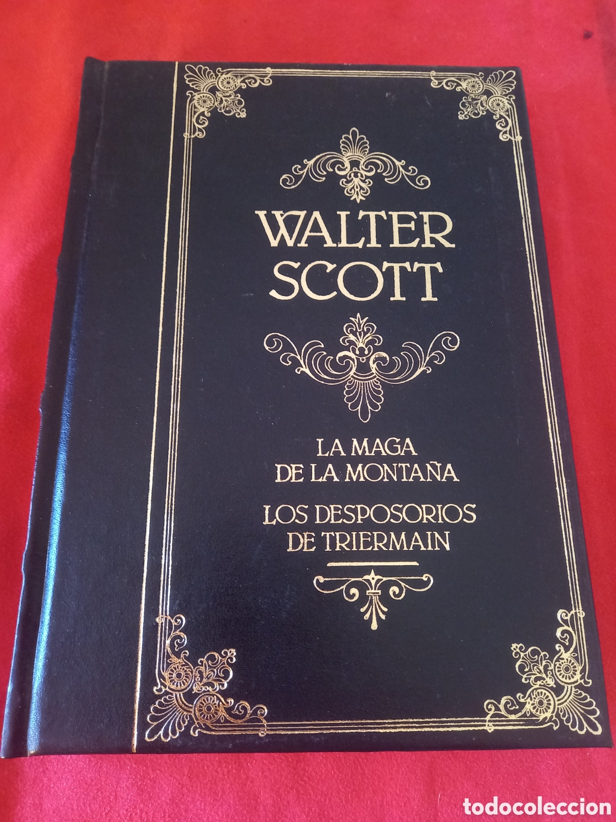 Libros de segunda mano: La maga de la monta&ntilde;a/ Los despose&iacute;dos de Triermain. Walter Scott. - Foto 1