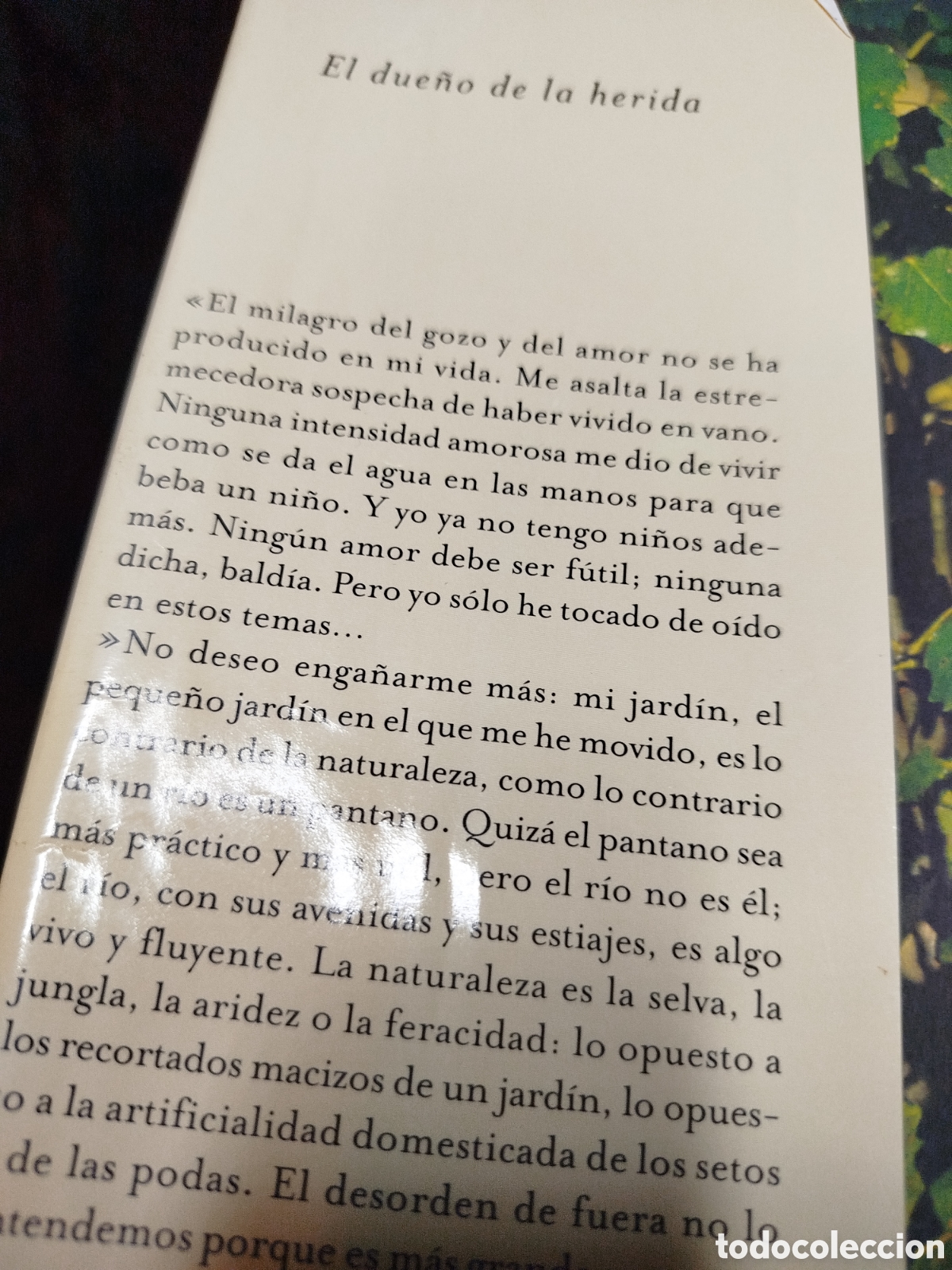 Libros de segunda mano: El due&ntilde;o de la herida. primera edici&oacute;n. Antonio Gala. Planeta - Foto 2