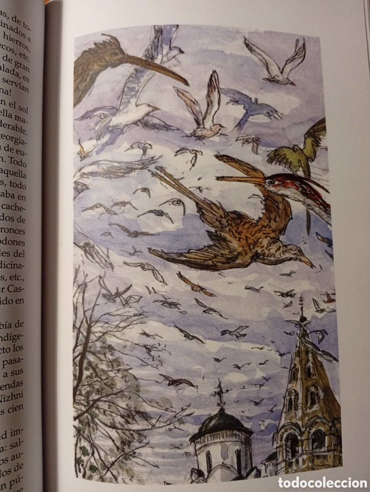 Libros de segunda mano: Miguel Strogoff - Jules Verne - Ed. Anaya, 2005 - Foto 6