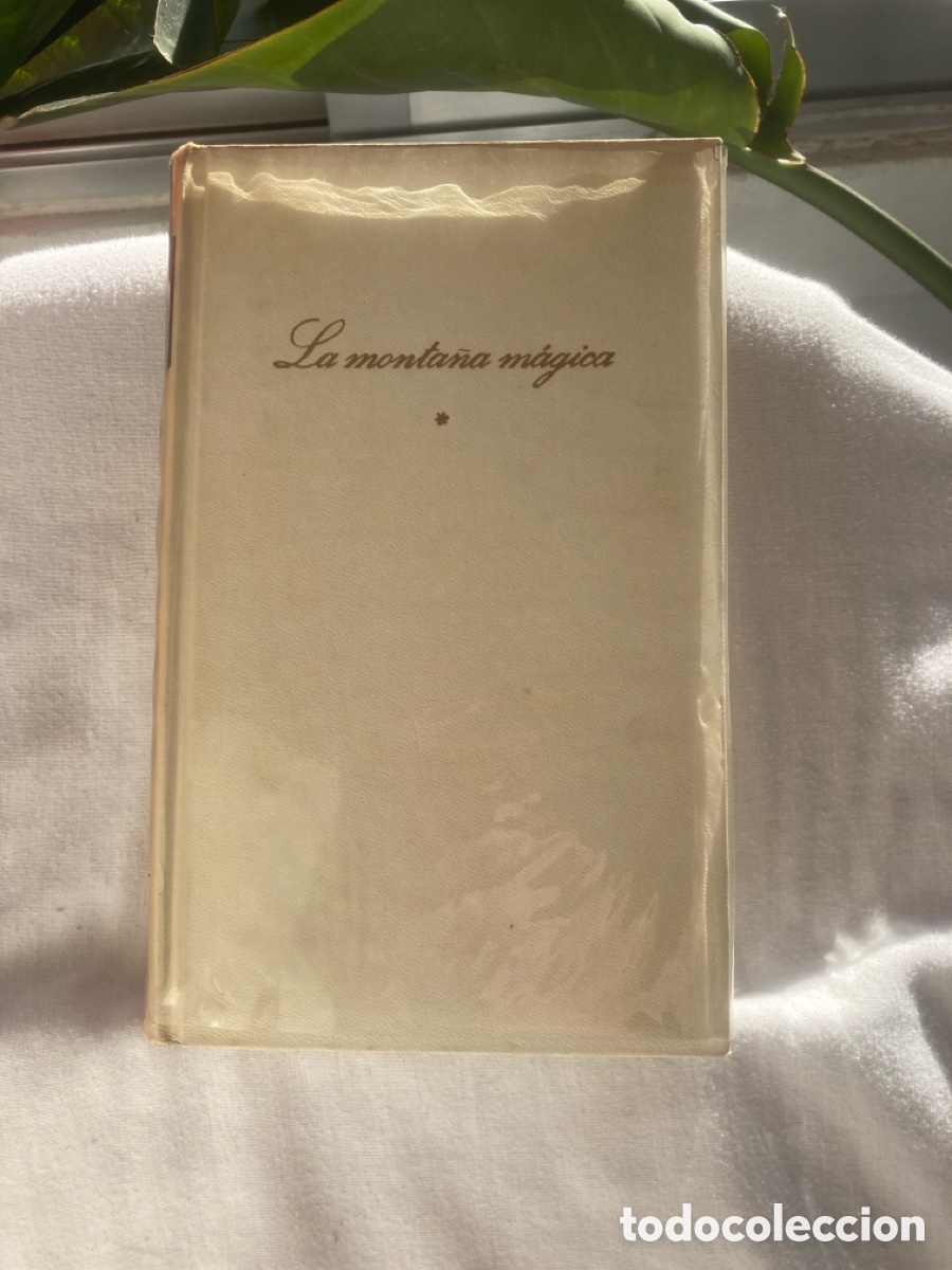 Libros de segunda mano: LA MONTA&Ntilde;A M&Aacute;GICA THOMAS MANN - Foto 1