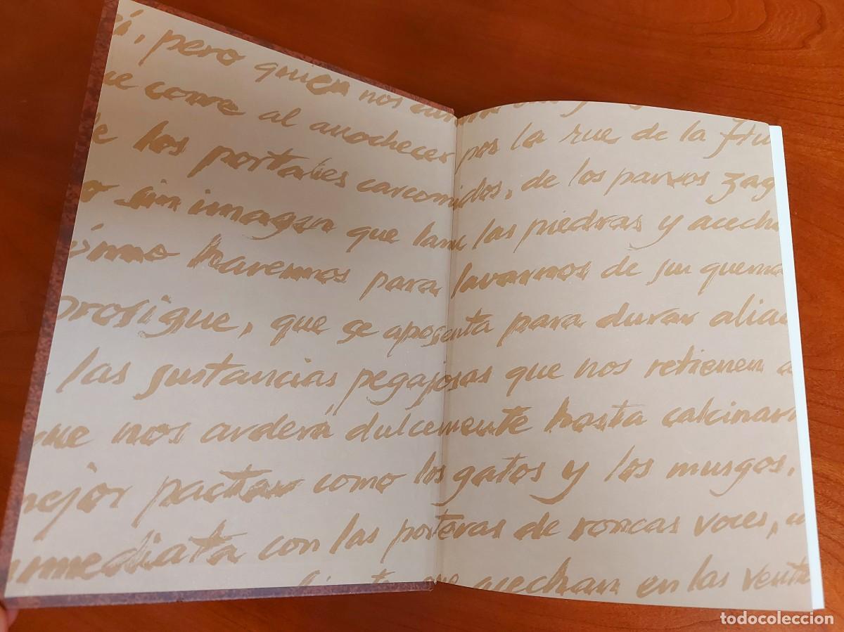 Libros de segunda mano: Julio Cortázar Obras Completas. 4 tomos (completa). RBA, 2005. - Foto 8