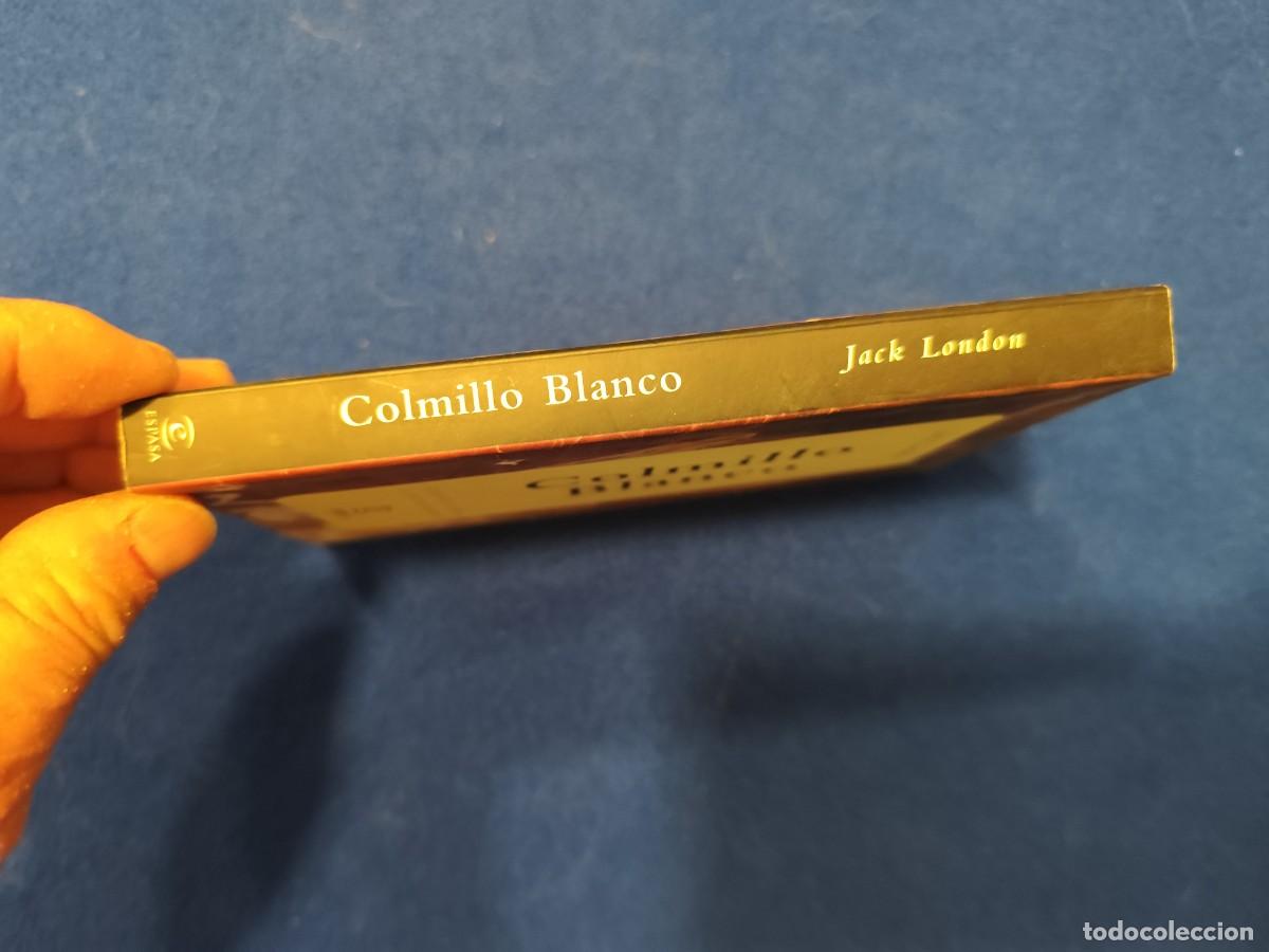 Libros de segunda mano: COLMILLO BLANCO Jack London Espasa Calpe 1998 Colecci&oacute;n Centenario - Foto 2