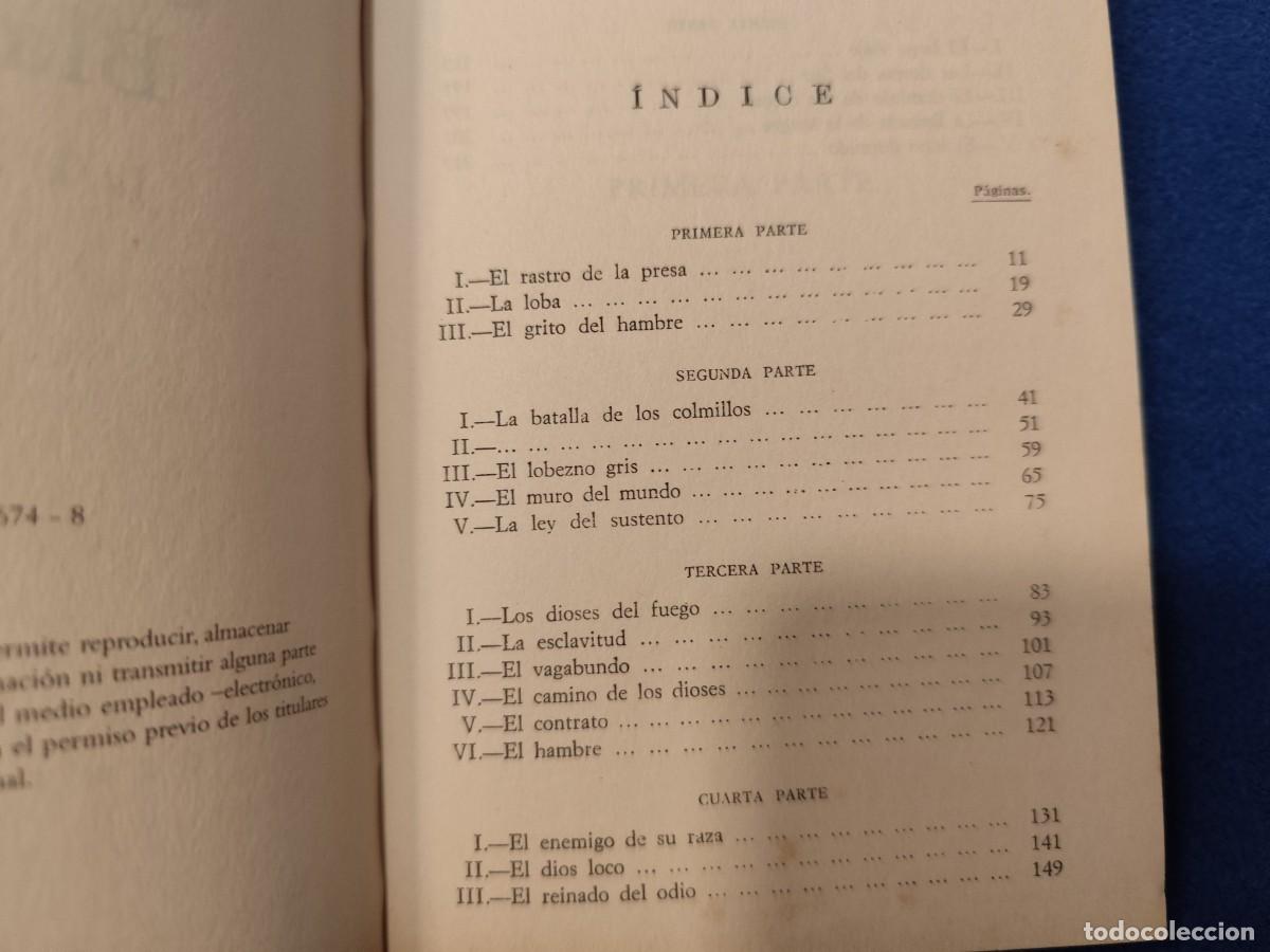 Libros de segunda mano: COLMILLO BLANCO Jack London Espasa Calpe 1998 Colecci&oacute;n Centenario - Foto 7