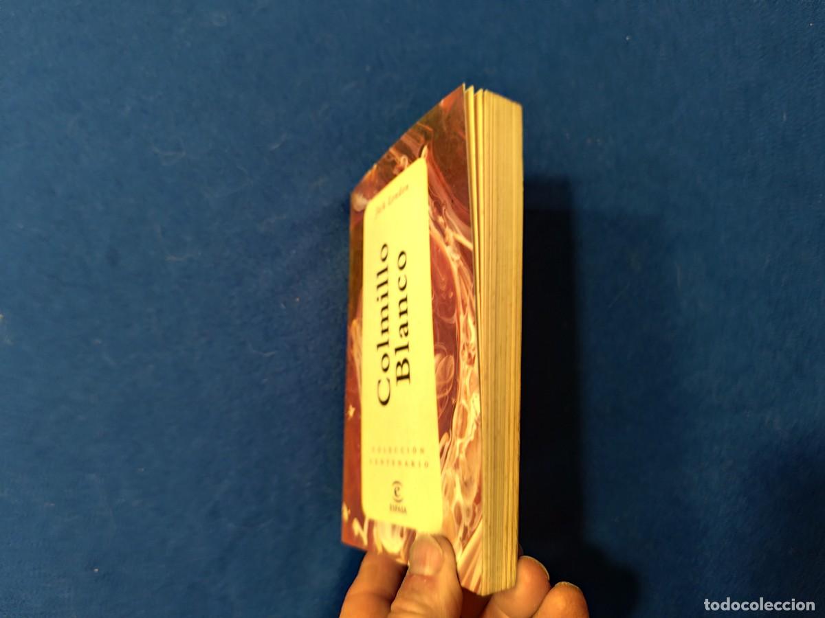 Libros de segunda mano: COLMILLO BLANCO Jack London Espasa Calpe 1998 Colecci&oacute;n Centenario - Foto 8