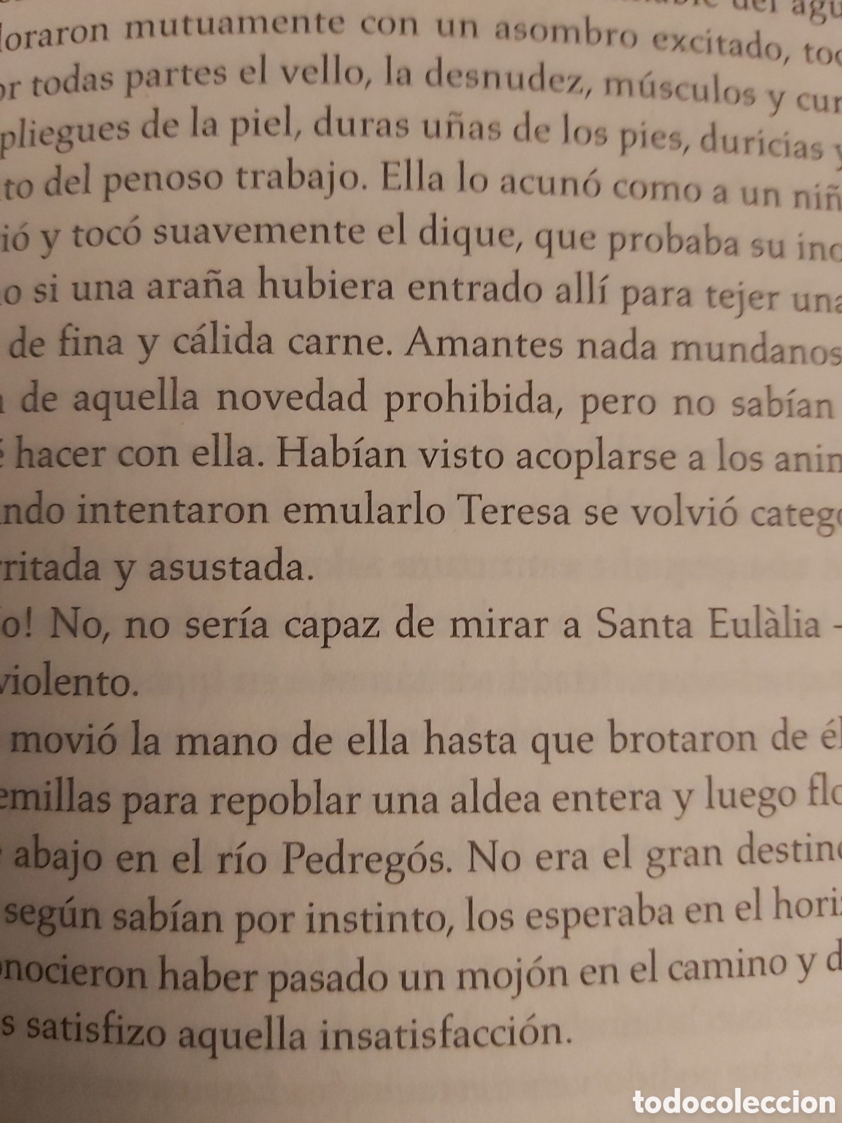 Libros de segunda mano: QUELA LIBRO. LA BODEGA NOAH GORDON 1A. EDICI&Oacute;N 2007 ROCA EDITORIAL - Foto 10