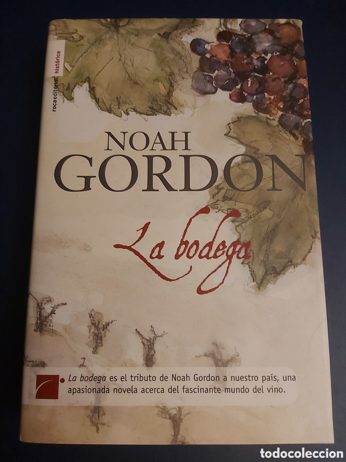 Libros de segunda mano: QUELA LIBRO. LA BODEGA NOAH GORDON 1A. EDICI&Oacute;N 2007 ROCA EDITORIAL - Foto 1