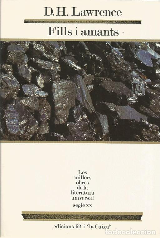 Libros de segunda mano: FILLS I AMANTS - D.H.LAWRENCE MOLU 14 - Foto 1