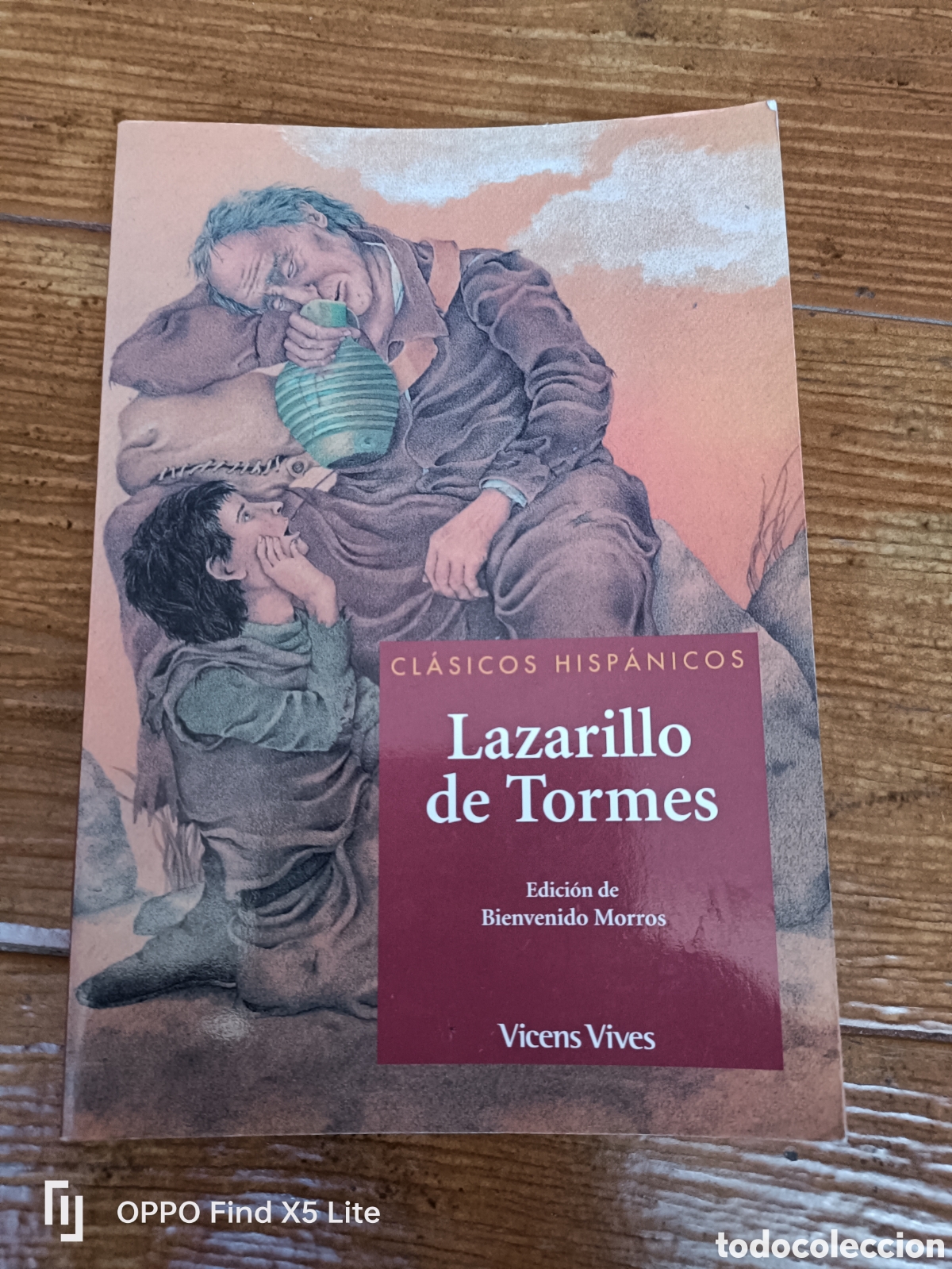 Libros de segunda mano: Libro Lazarillo de Tormes -Anonimo- Ed. Vicens Vives- - Foto 1