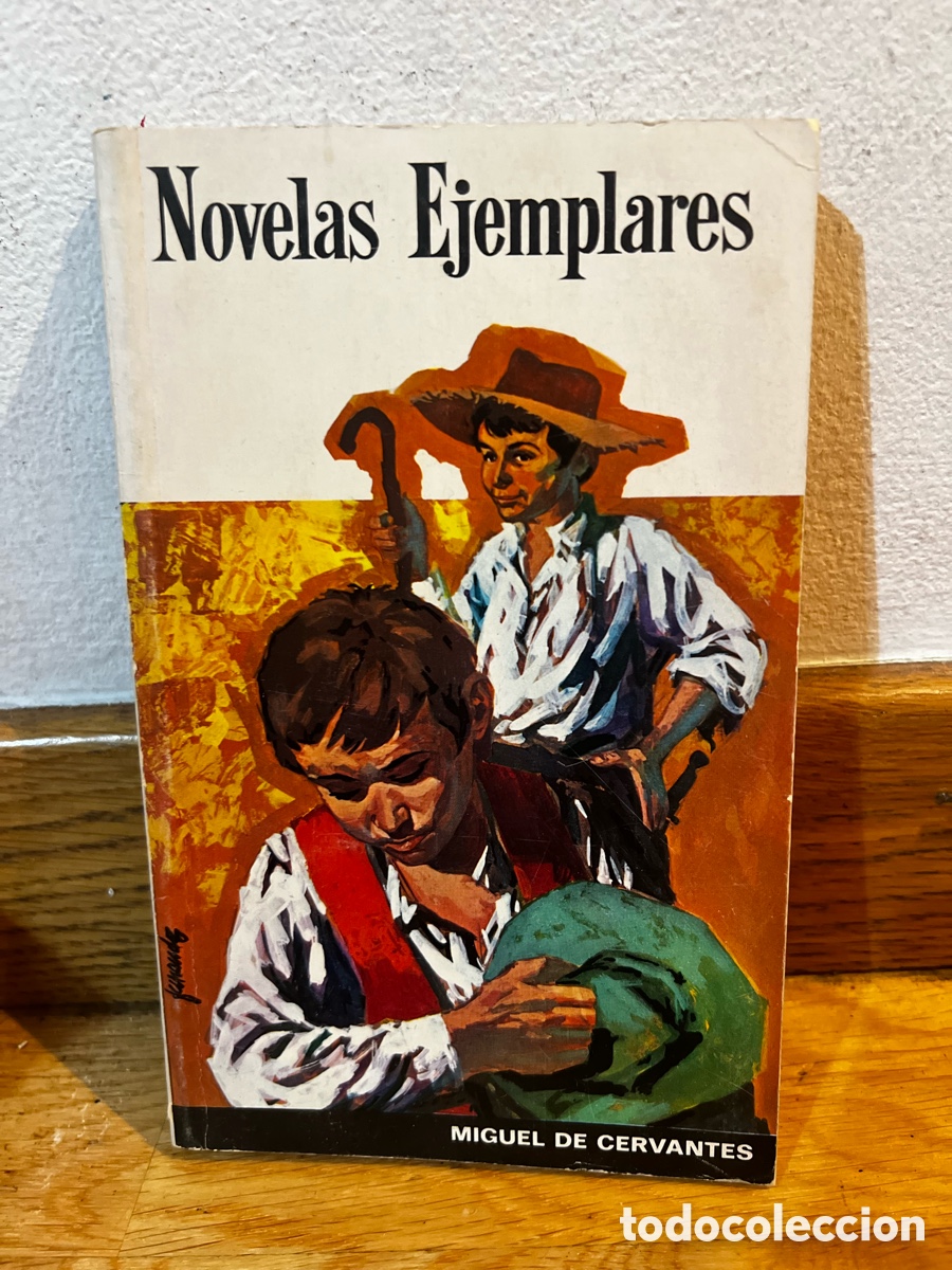 Libros de segunda mano: Novelas Ejemplares MIGUEL DE CERVANTES - Foto 1