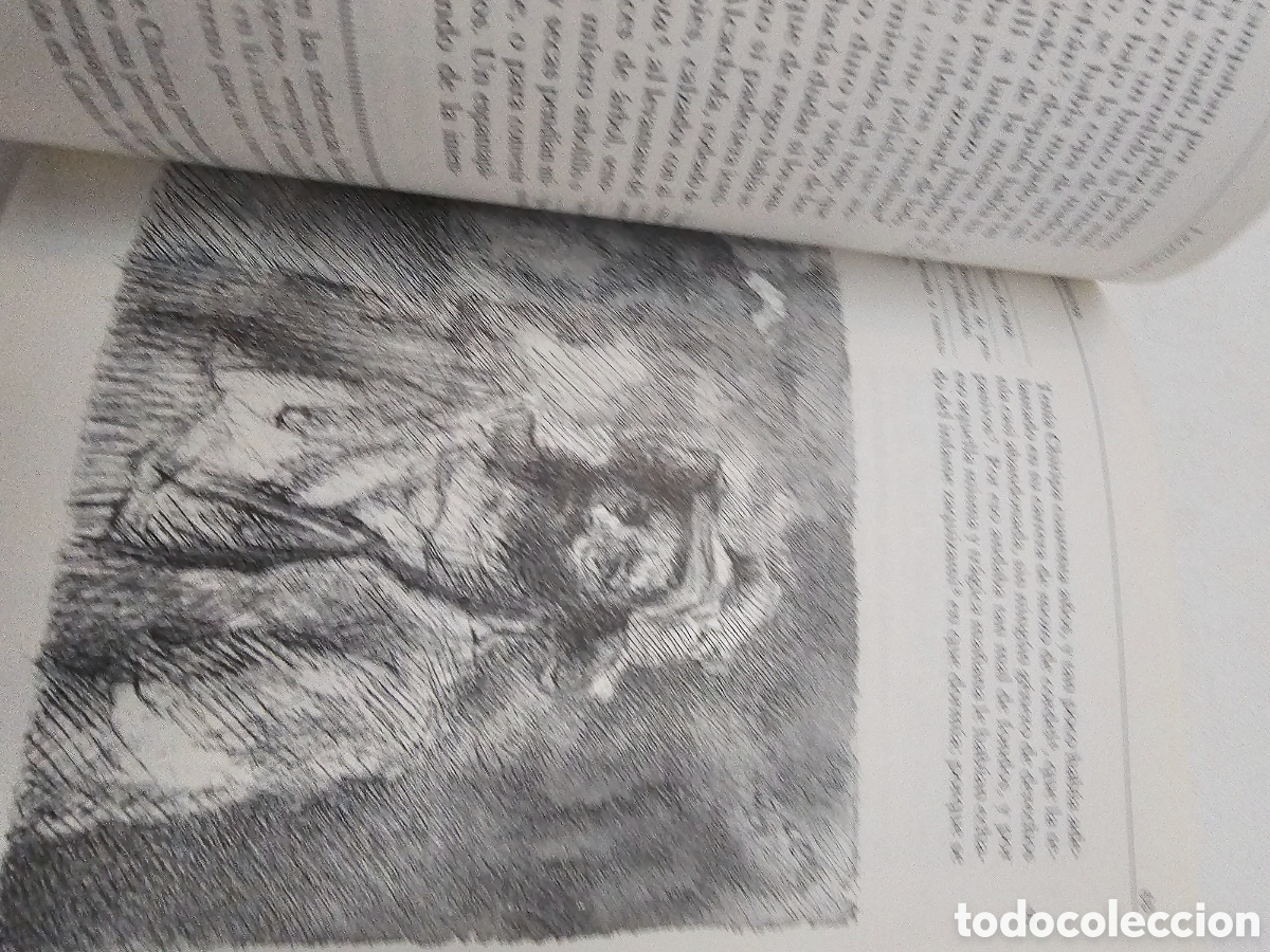 Libros de segunda mano: Cuentos. Leopoldo Alas Clarin. - Foto 4