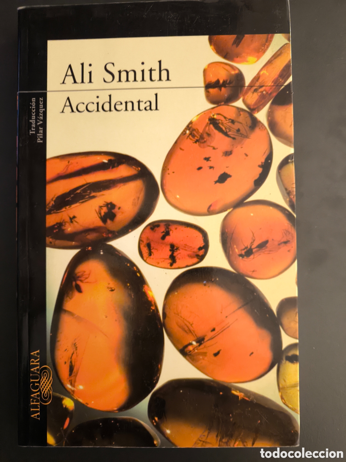 Libros de segunda mano: Accidental. Smith Ali - Foto 1