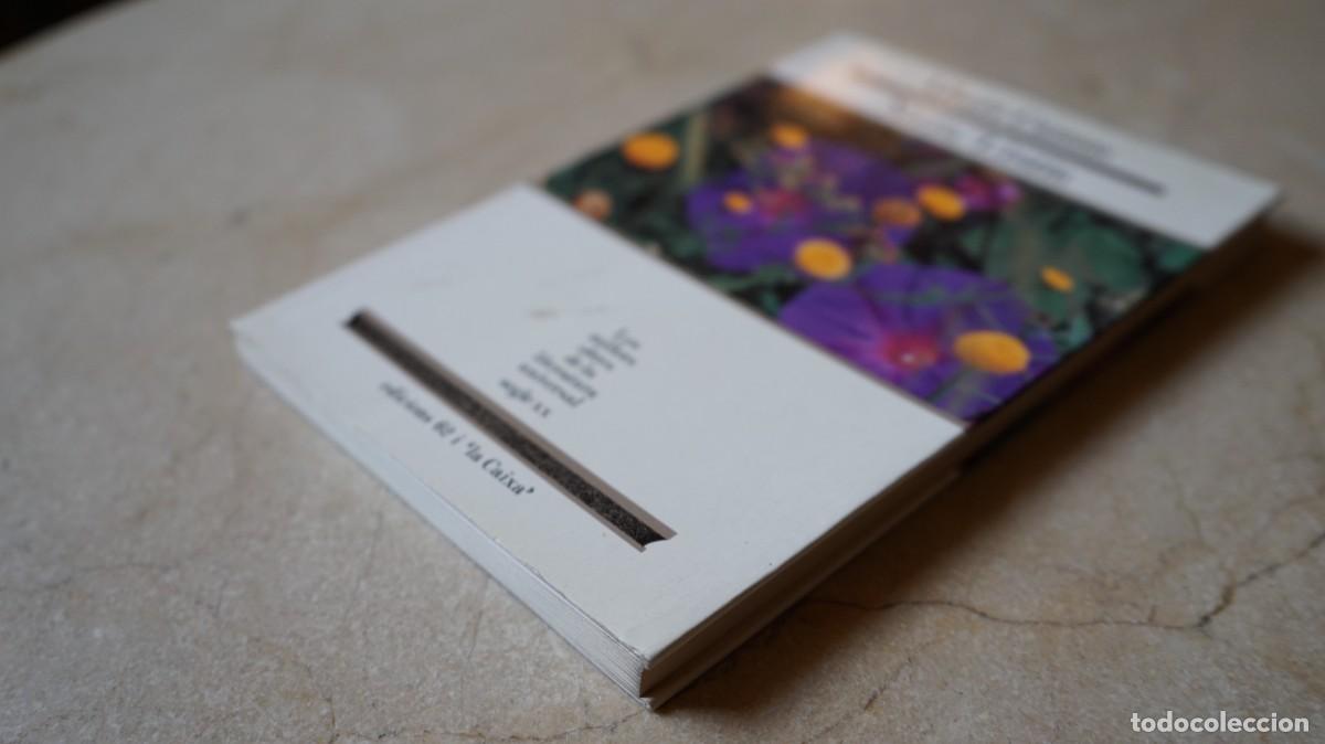 Libros de segunda mano: Albert Camus - Noces / Lestiu - EDICIONS 62 - Foto 2