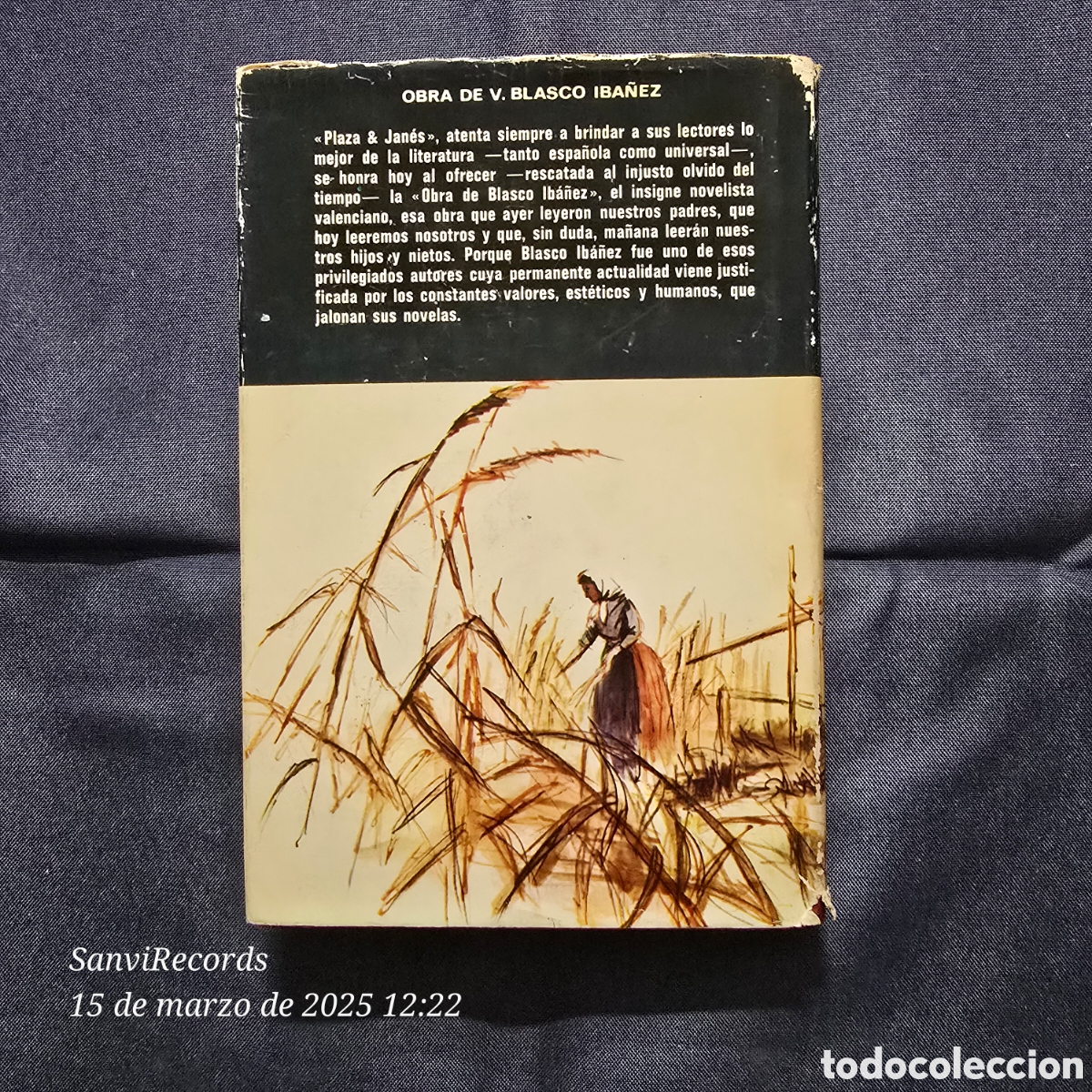 Libros de segunda mano: LA BARRACA (V. BLASCO IBA&Ntilde;EZ) (PLAZA & JAN&Eacute;S) - Foto 2