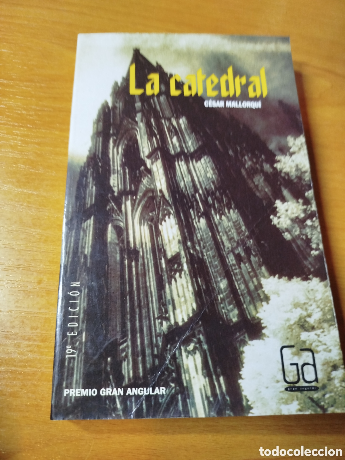 Libros de segunda mano: La catedral. C&eacute;sar mallorqu&iacute;. Premio Gran angular - Foto 1