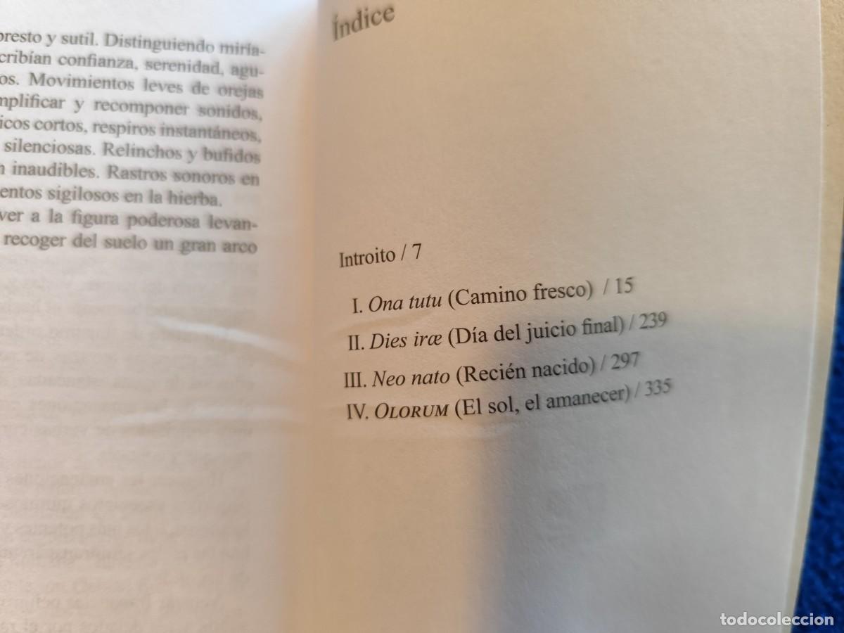 Libros de segunda mano: En el Dorado C&iacute;rculo del Tiempo H&eacute;ctor Veit&iacute;a Ediciones Uni&oacute;n 2015 - Foto 7