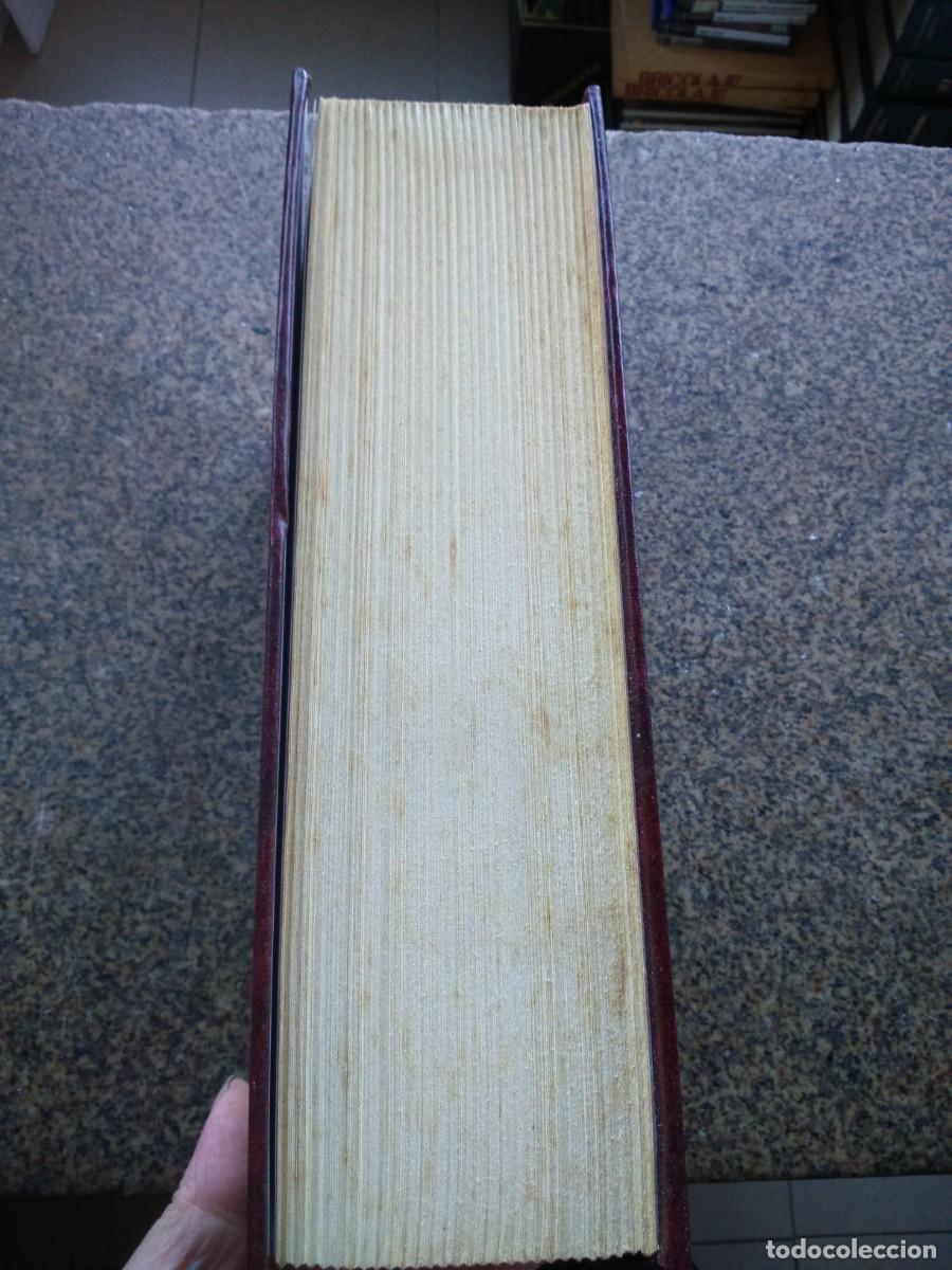 Libros de segunda mano: DON QUIJOTE DE LA MANCHA -- CERVANTES -- ALBOR LIBROS 2004 -- - Foto 4