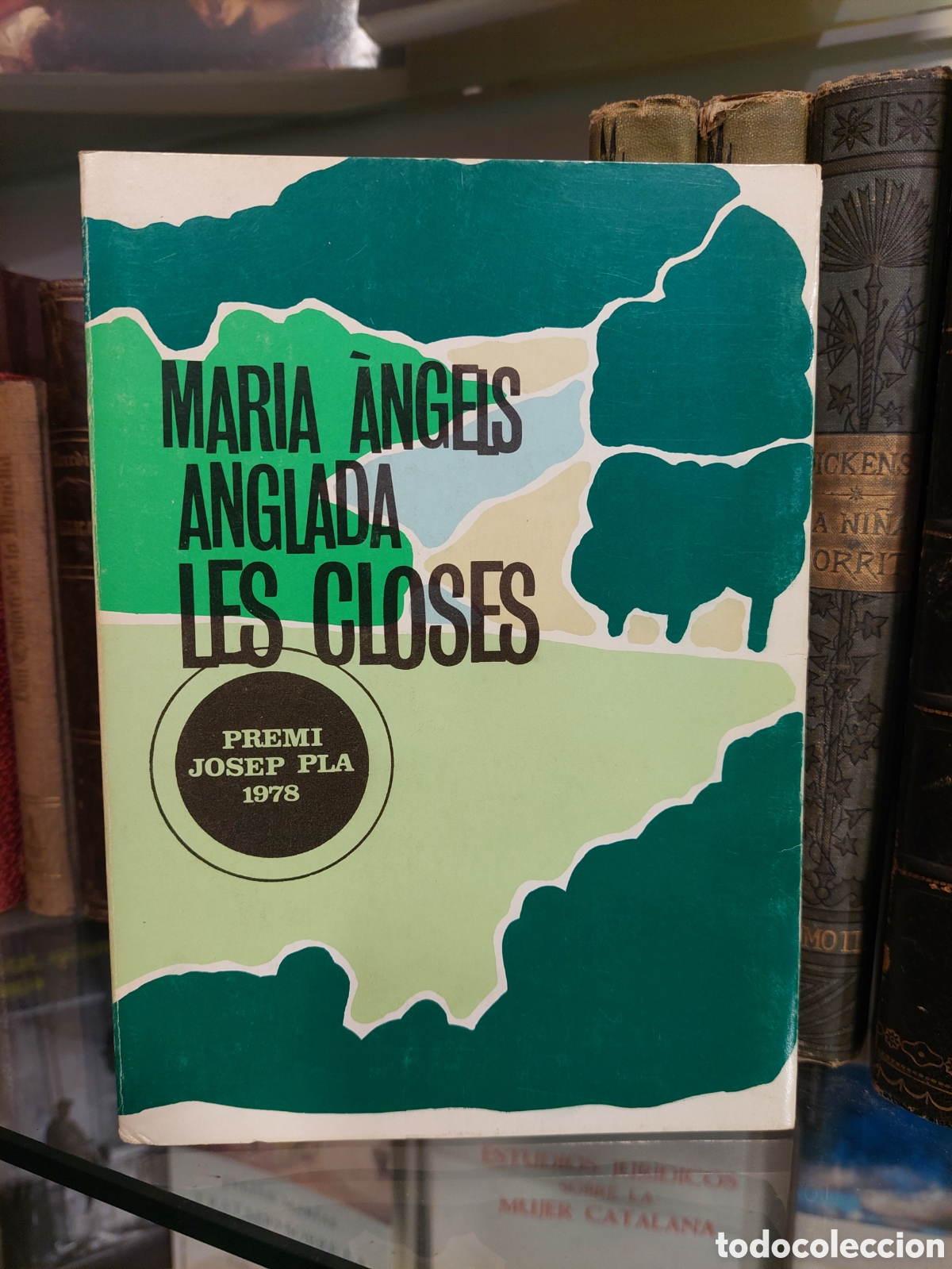 Libros de segunda mano: Les closes. Maria &Agrave;ngels Anglada - Foto 1