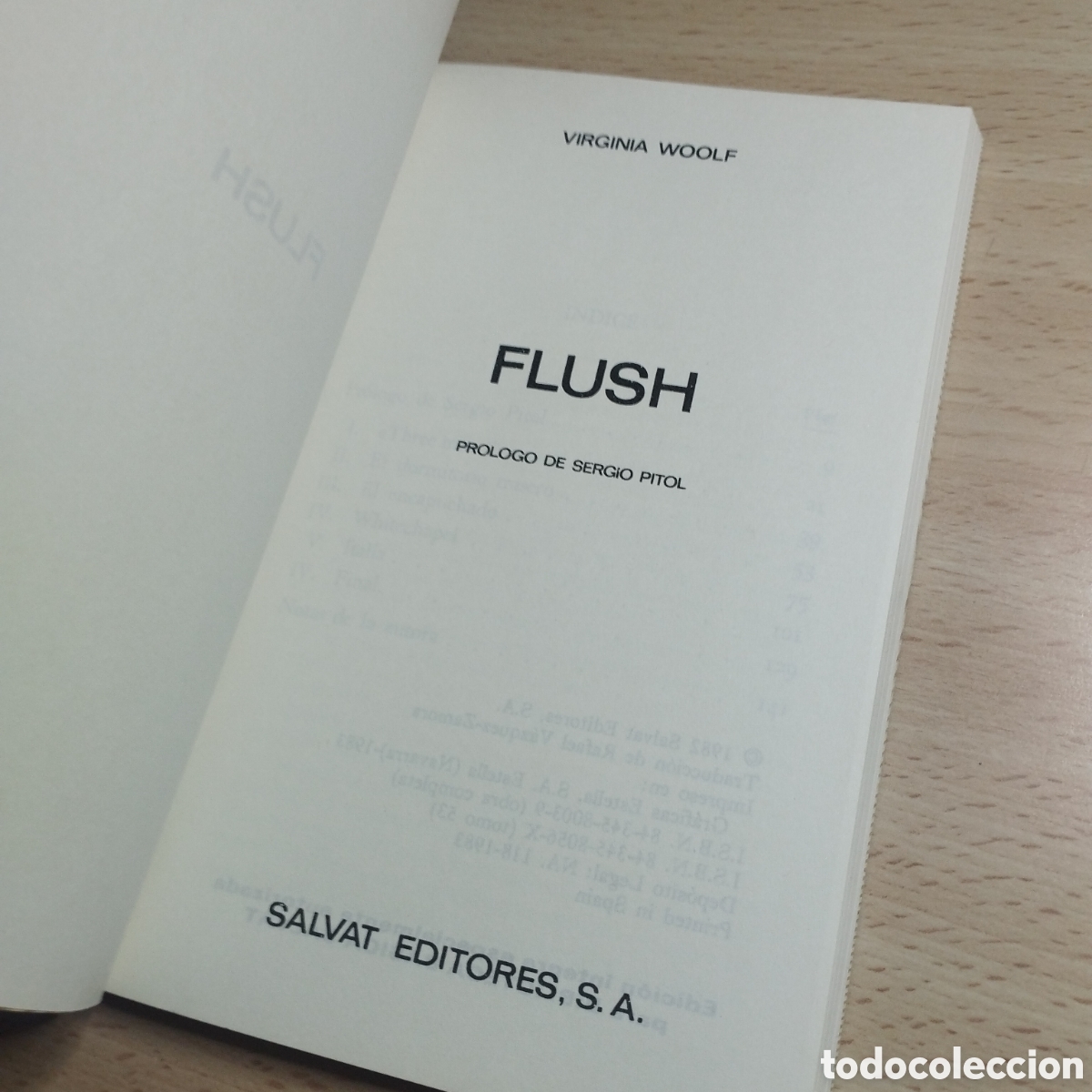 Libros de segunda mano: Flush. Virginia woolf. 1982. Biblioteca b&aacute;sica Salvat. 53 - Foto 4