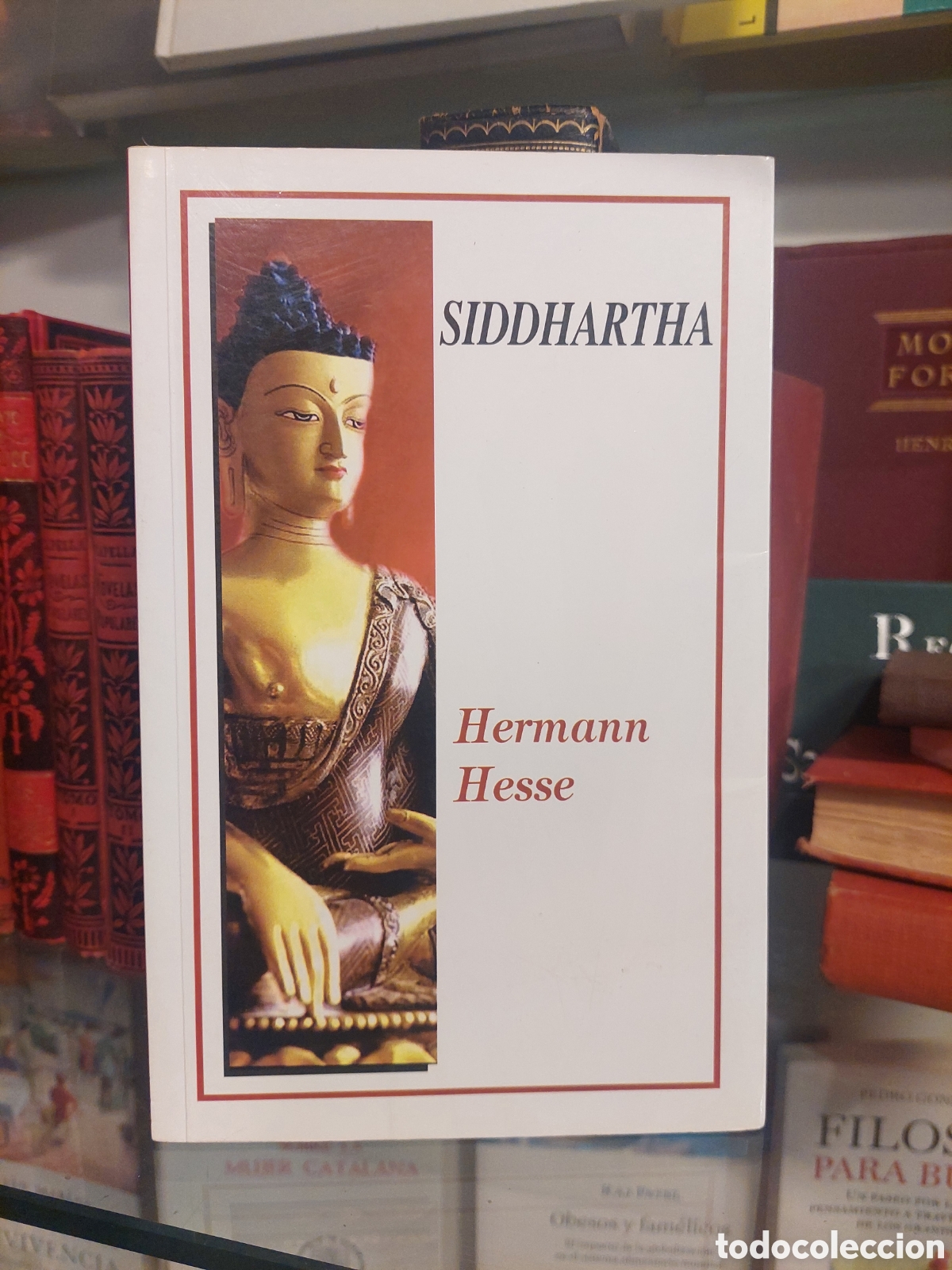 Libros de segunda mano: Siddhartha. Hermann Hesse. - Foto 1